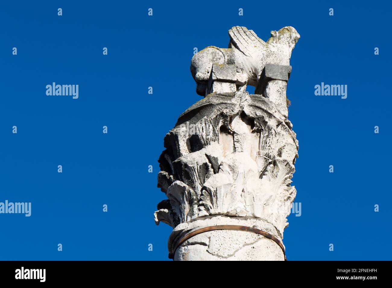Haut d'une colonne romaine et sa capitale dans le style corinthien, partie du pilier de la honte, site archéologique à Zadar, Croatie Banque D'Images