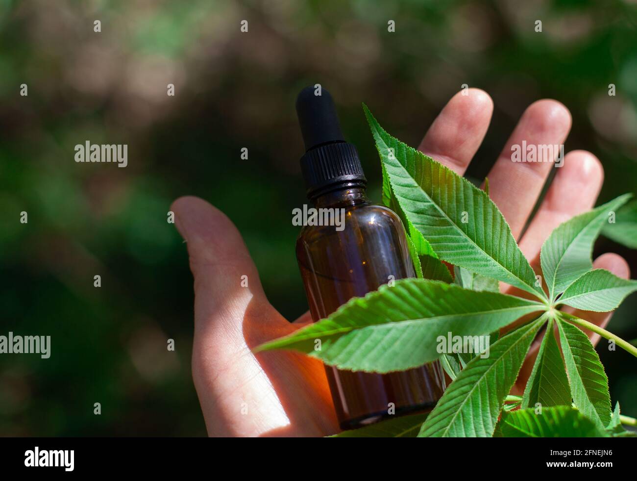 Cannabis médicinal avec huile d'extrait dans une bouteille. Banque D'Images