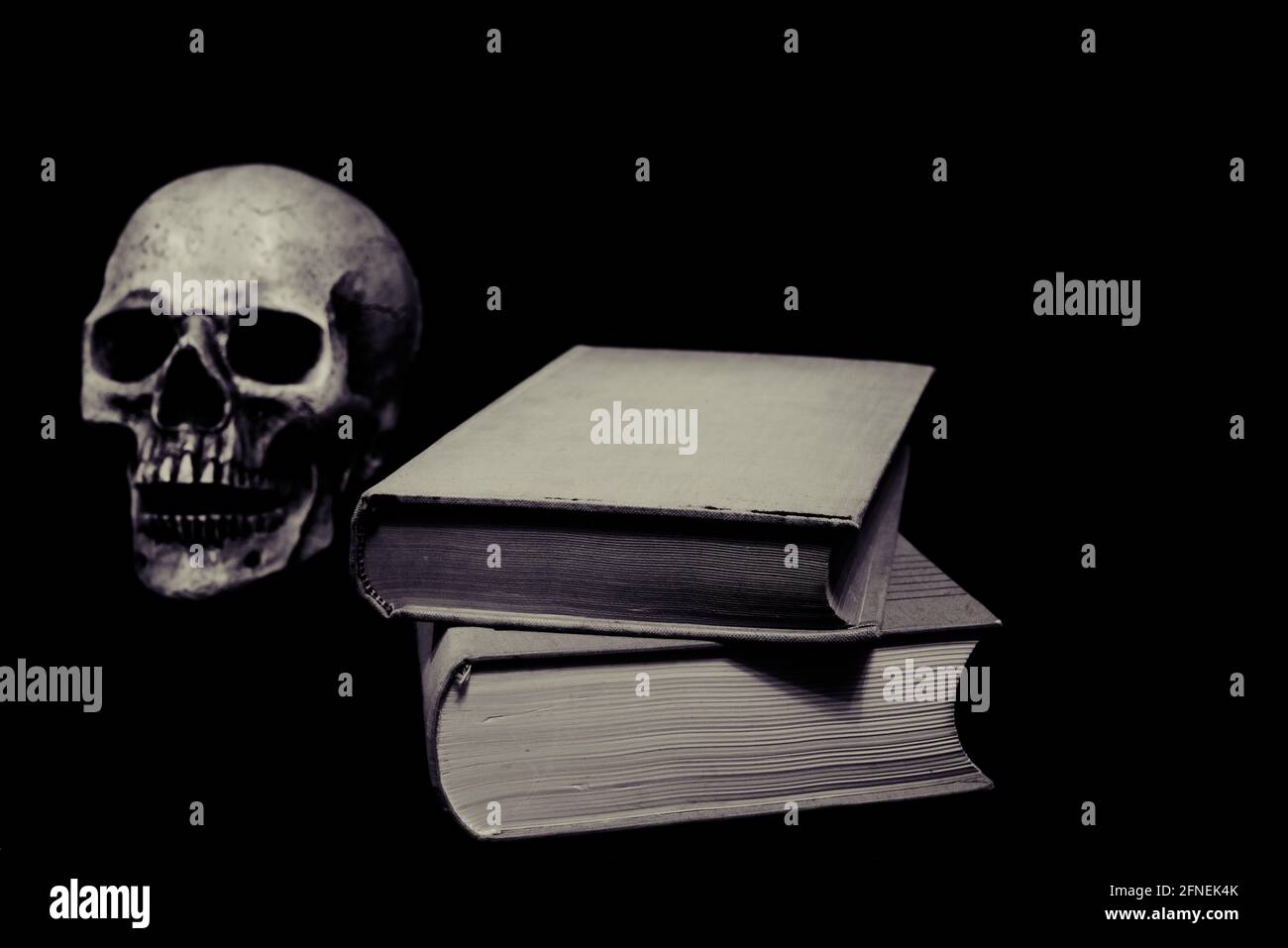 Un crâne et des livres Banque D'Images