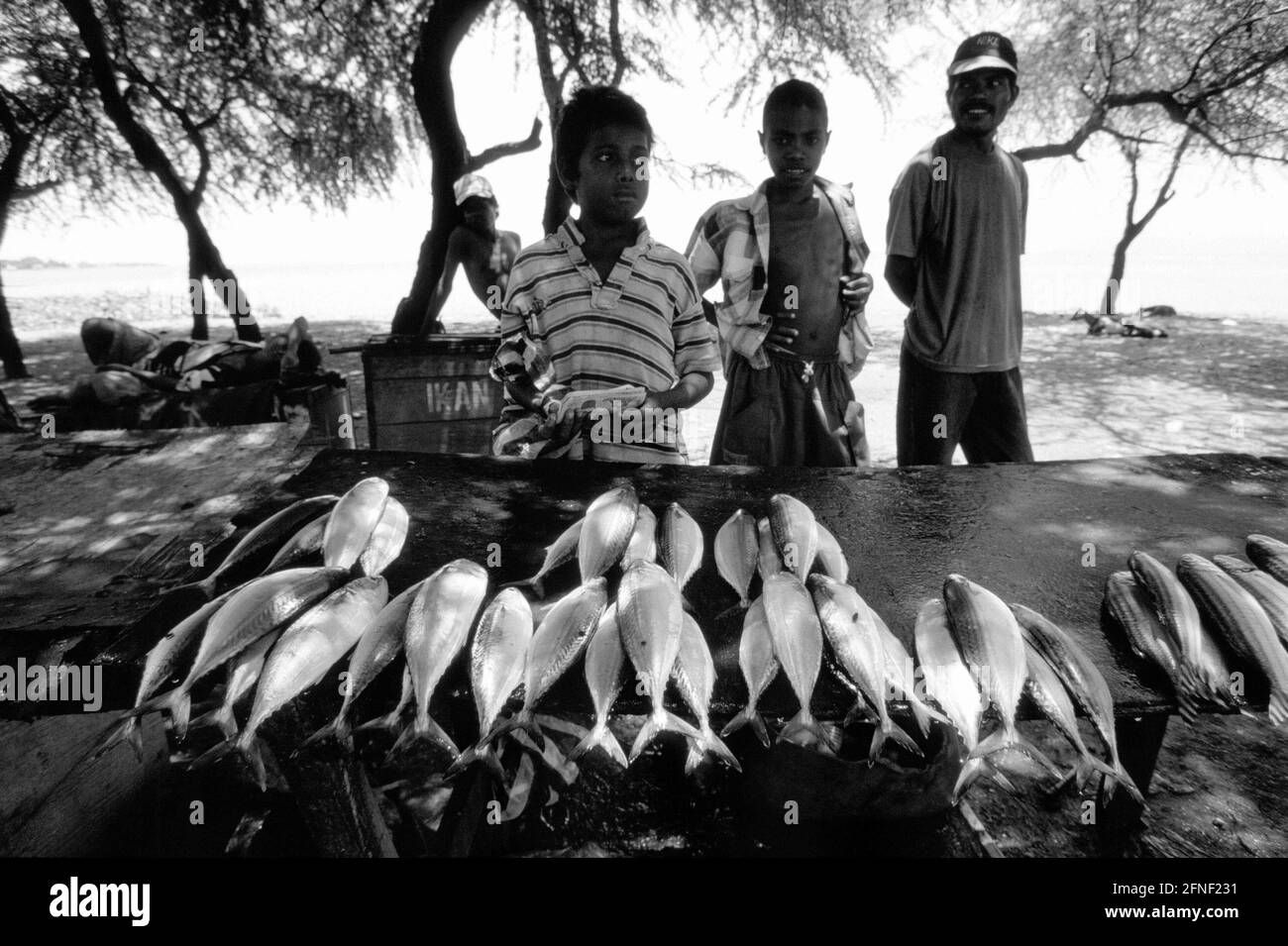 Vendeur de poisson sur la plage de Dili. [traduction automatique] Banque D'Images