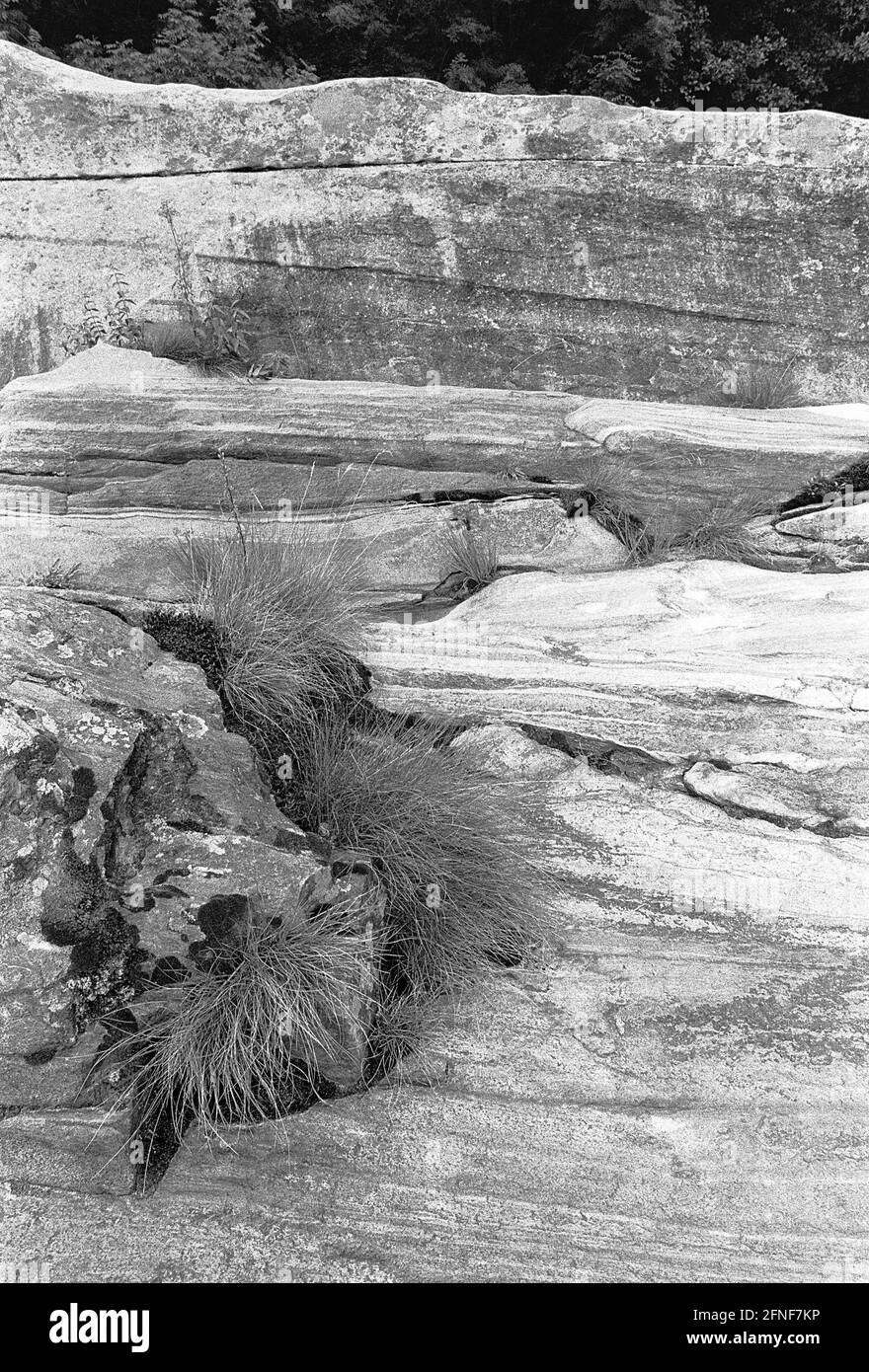 Formation de roches dans la Valle Verzasca, Tessin. [traduction automatique] Banque D'Images