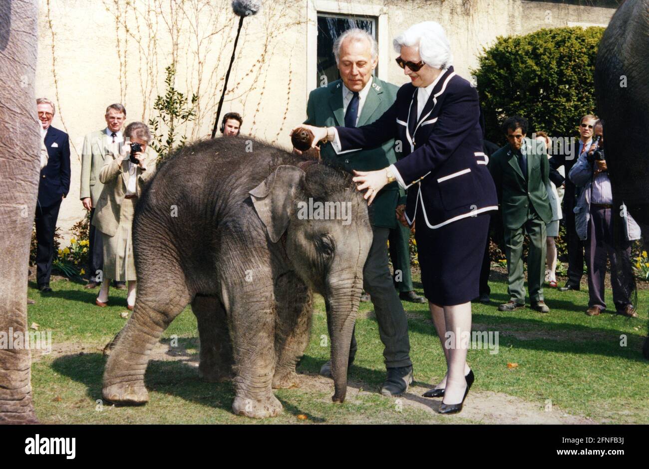 Christiane Herzog, épouse du président allemand Roman Herzog, baptise un jeune éléphant d'Asie, fils de Thura, Tharun, avec du lait de noix de coco au zoo de Hagenbeck à Hambourg. [traduction automatique] Banque D'Images