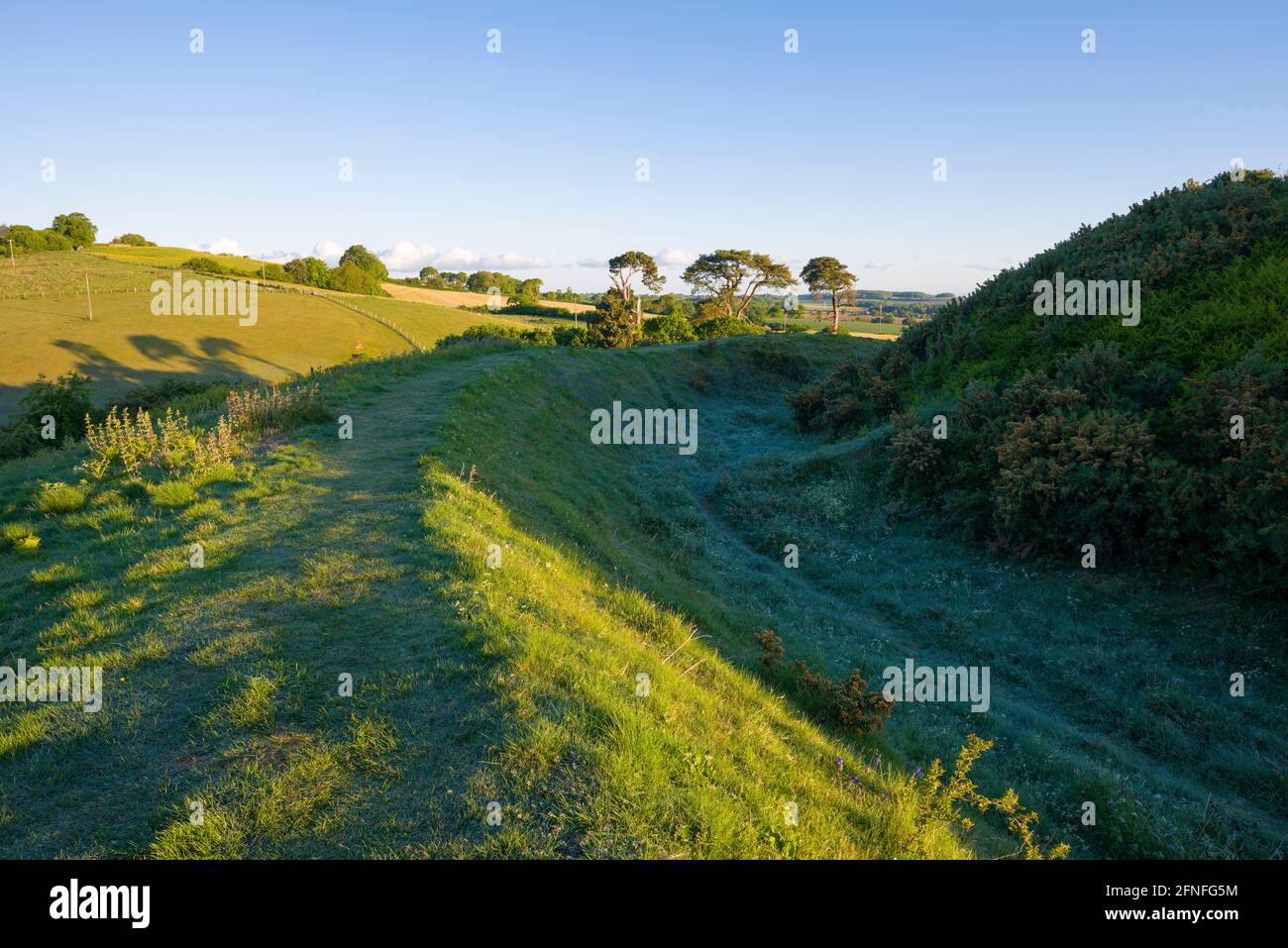 Le château Norman motte-et-bailey Stowey au pied des collines de Quantock, Nether Stowey, Somerset, Angleterre. Banque D'Images