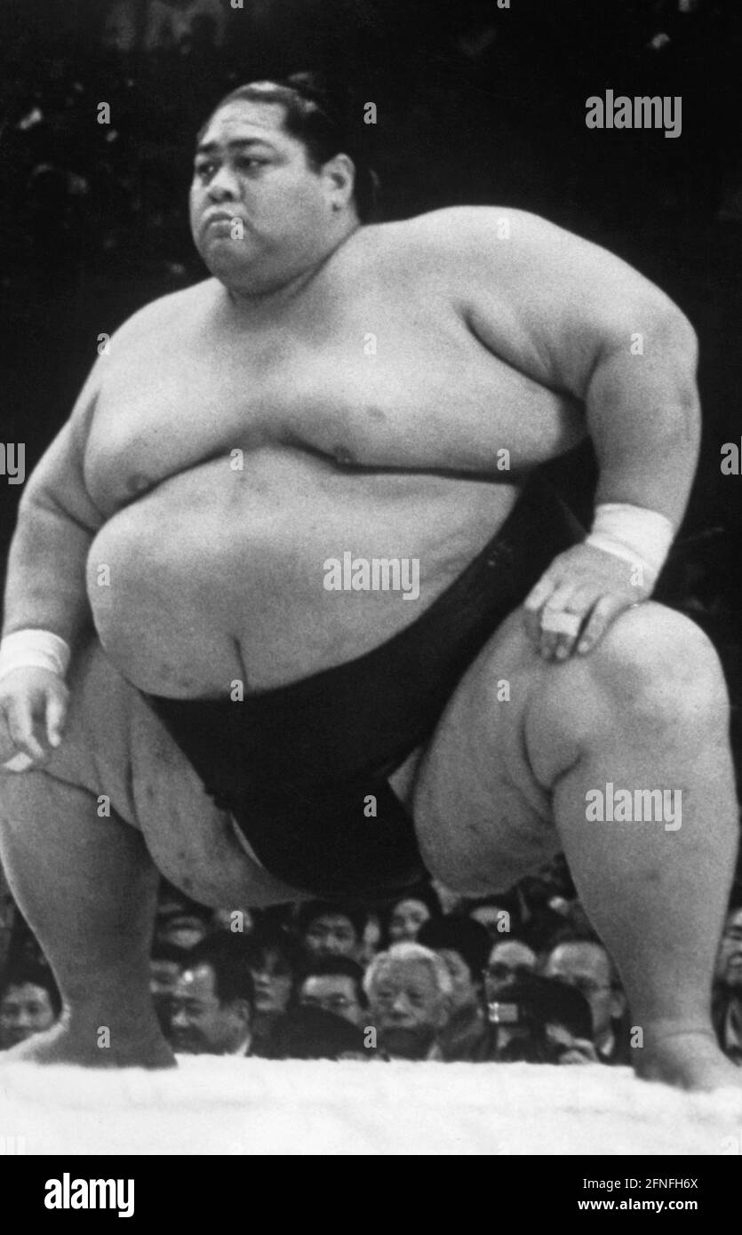 Un lutteur sumo se prépare à un combat sur le ring. [traduction automatique] Banque D'Images