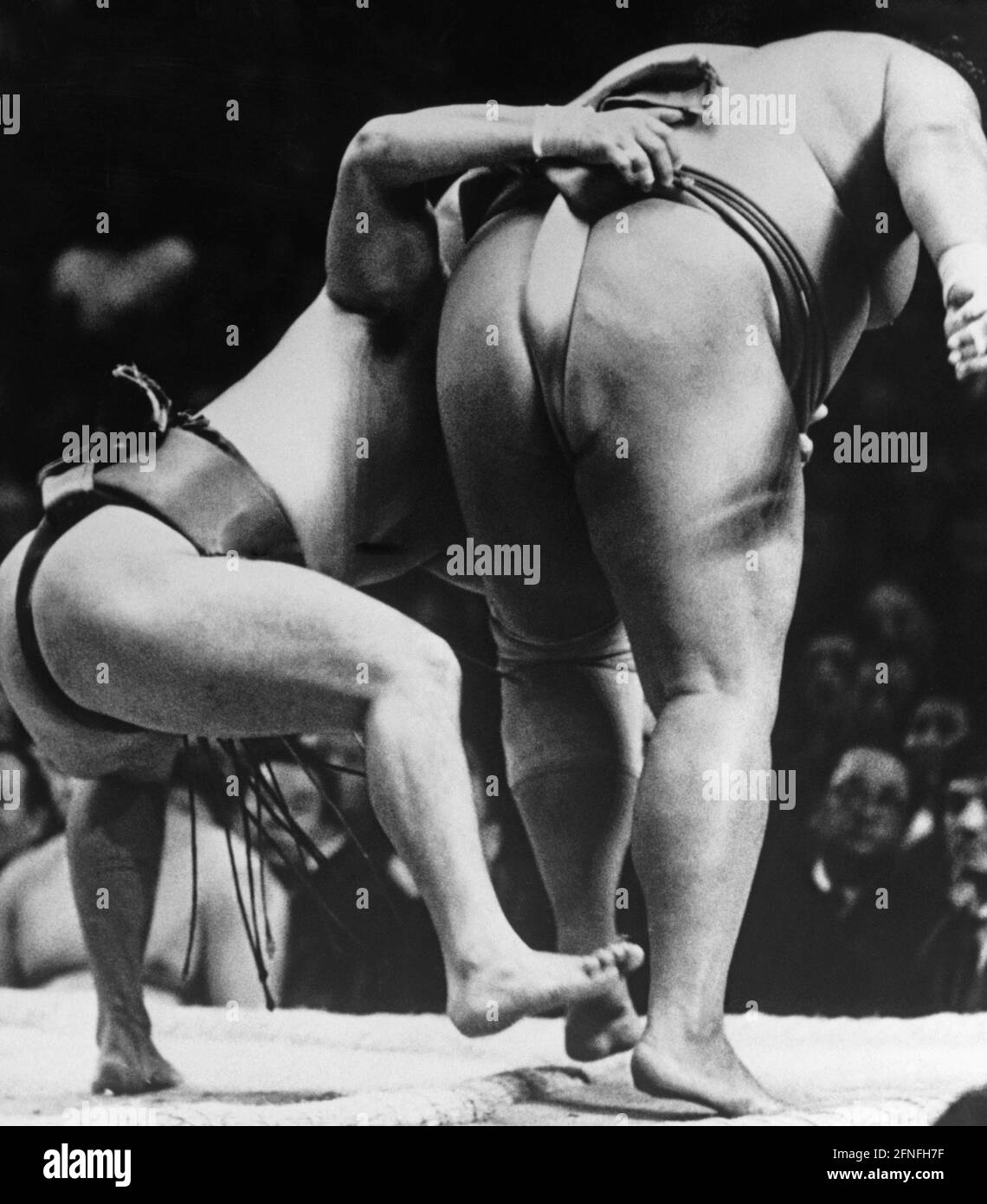 Deux lutteurs sumo lors d'un match à Osaka, au Japon. L'un d'eux a saisi l'autre par sa ceinture. [traduction automatique] Banque D'Images