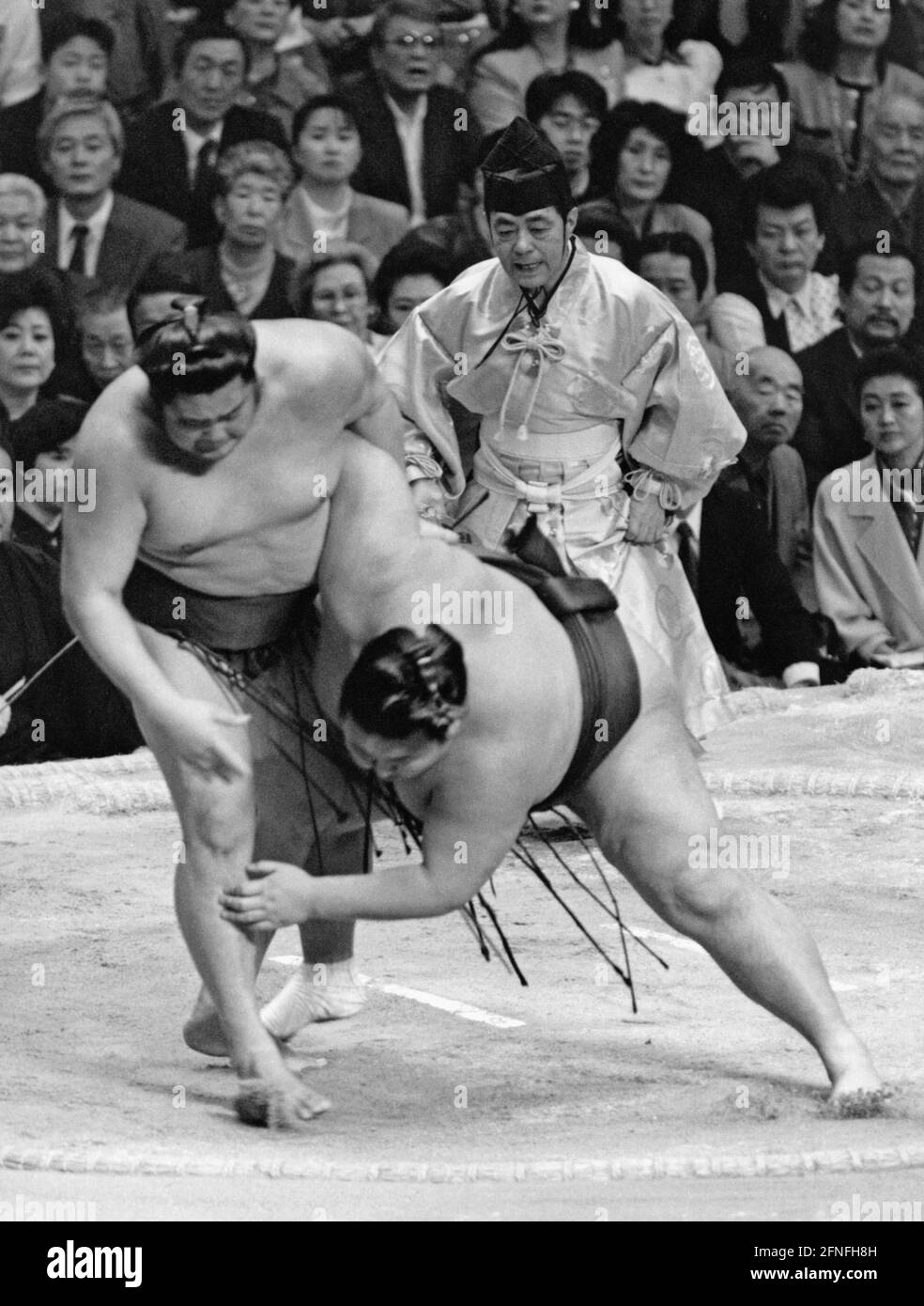 Scène à un combat sumo à Osaka, Japon. Les deux combattants se sont emparés les uns des autres et tentent de se cogner les uns contre les autres. Derrière eux se trouve le gyoji, l'arbitre. En arrière-plan spectateurs. [traduction automatique] Banque D'Images