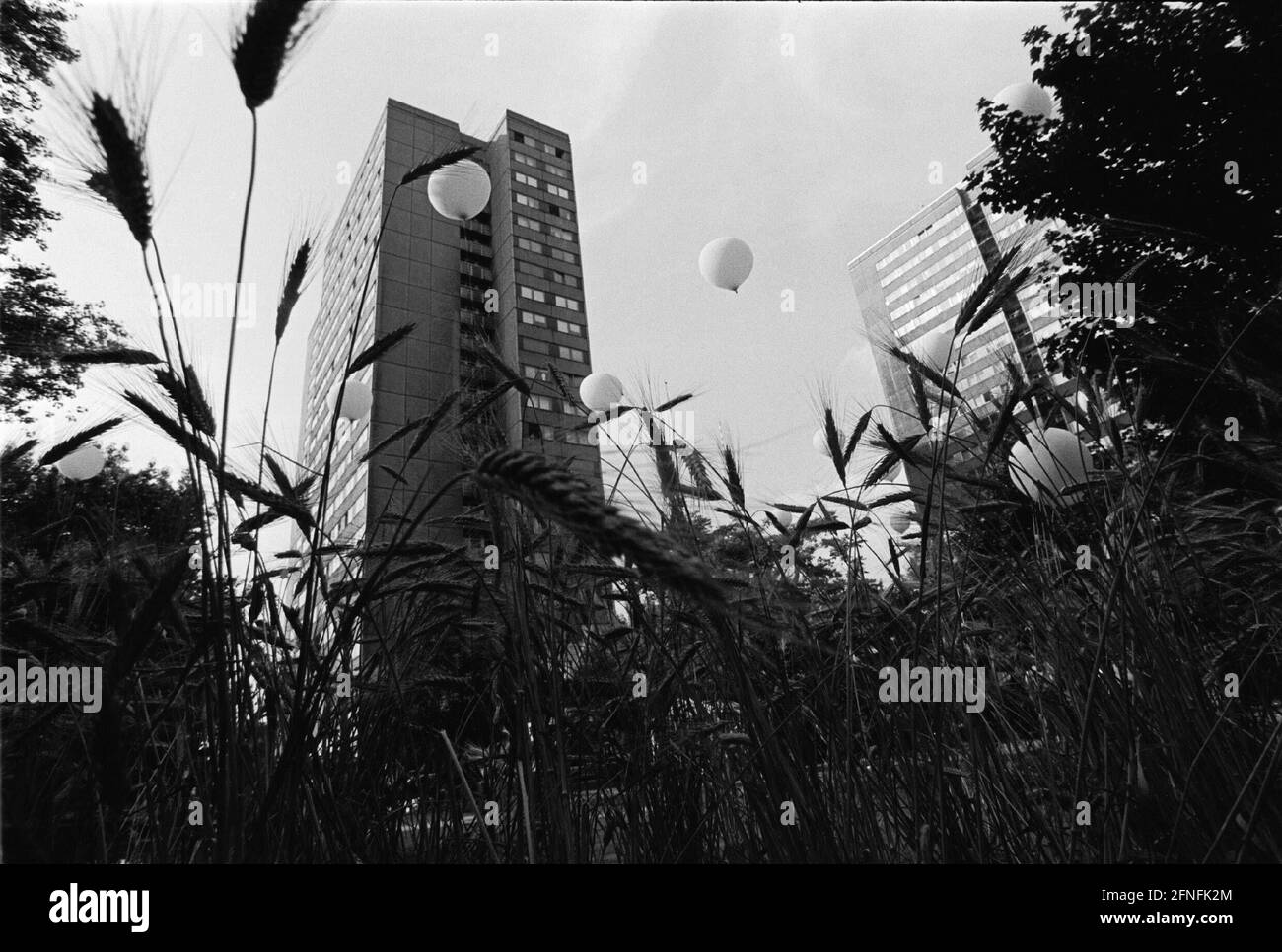 '''jardin temporaire'', action annuelle des étudiants en architecture, cette année sur le Fischerinsel, ballons devant les gratte-ciel, Berlin-Mitte, 01.07.1999, , [traduction automatique]' Banque D'Images