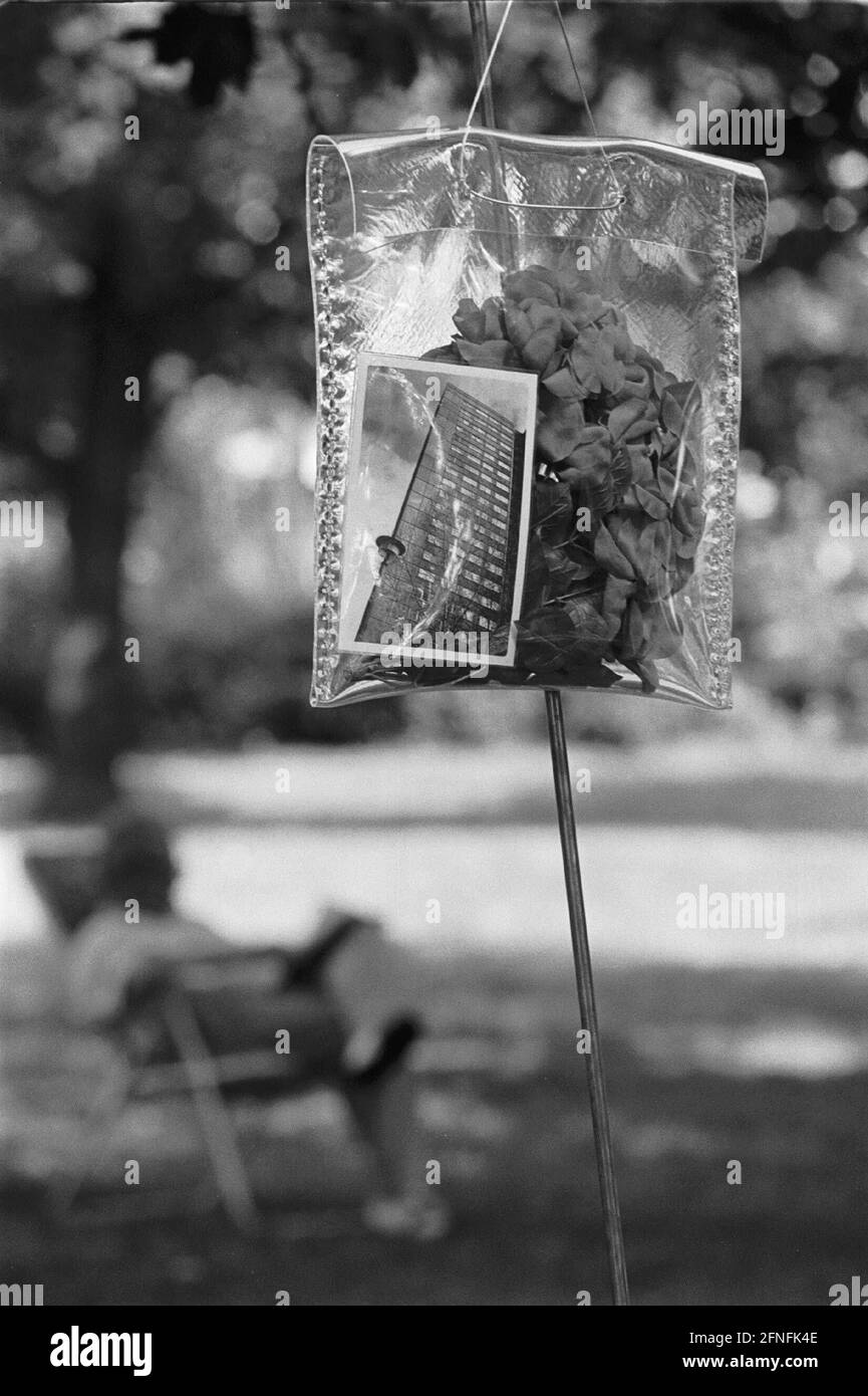 '''Temporäre Gaerten'', action annuelle des étudiants en architecture, cette année sur le Fischerinsel, objets de sculpture dans le parc, Berlin-Mitte, 01.07.1999, [traduction automatique]' Banque D'Images