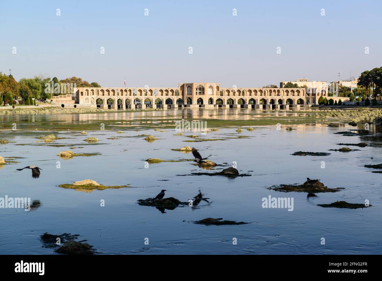 Des corneilles volant de petites îles en terre dans les eaux peu profondes de la rivière Zayanderud. Pont de Khaju en arrière-plan. Ispahan, Iran Banque D'Images