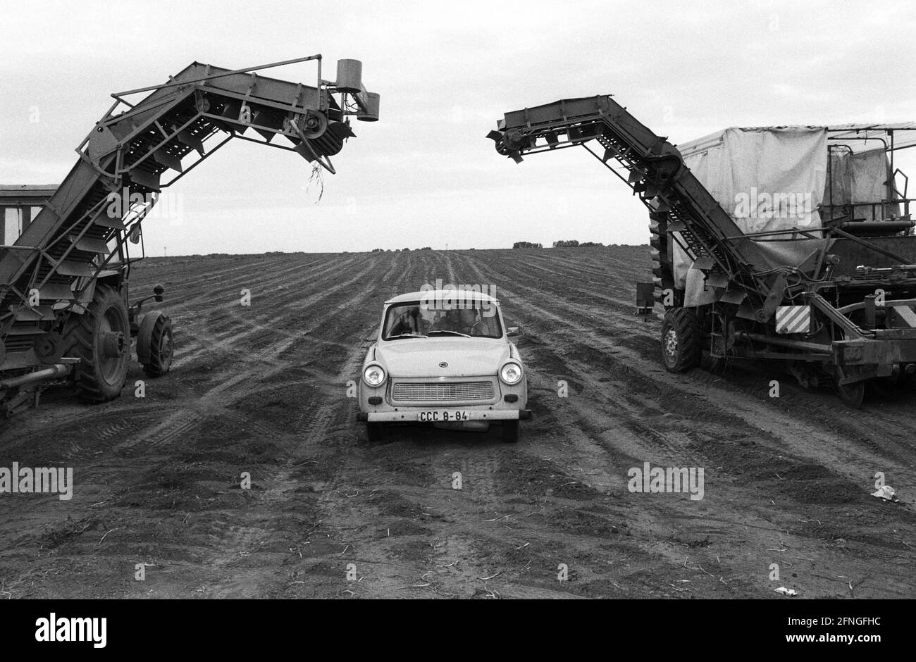 GDR, Sangerhausen , 23.09.1990 Archive-No.: 20-40 dans les 4574 entreprises agricoles de la RDA la peur est autour. Environ un million de travailleurs craignent pour leur emploi. Photo : les courroies du convoyeur des machines de récolte sont à l'arrêt. [traduction automatique] Banque D'Images