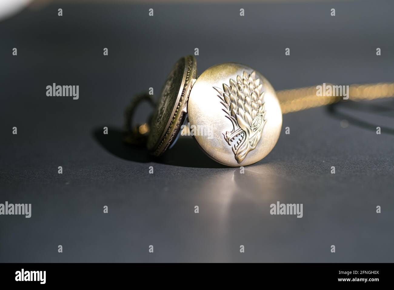Montre de poche à motif tête de loup. Mise au point sélective Banque D'Images