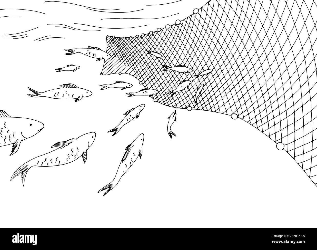 École de poissons se déplaçant dans la mer graphique de filet de pêche vecteur d'illustration d'esquisse noir et blanc Illustration de Vecteur