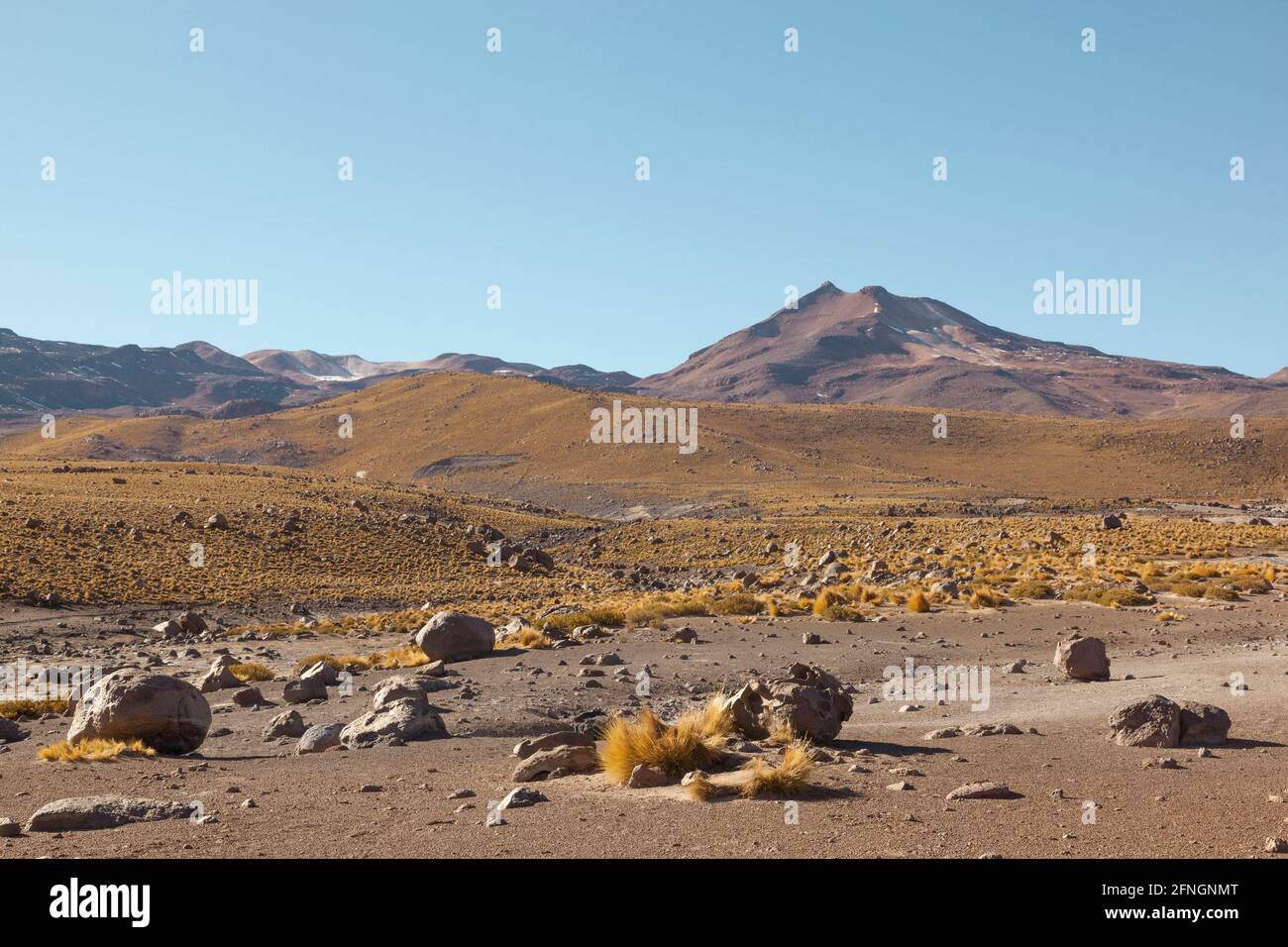 Paysage désertique, désert d'atacama, Bolivie Banque D'Images