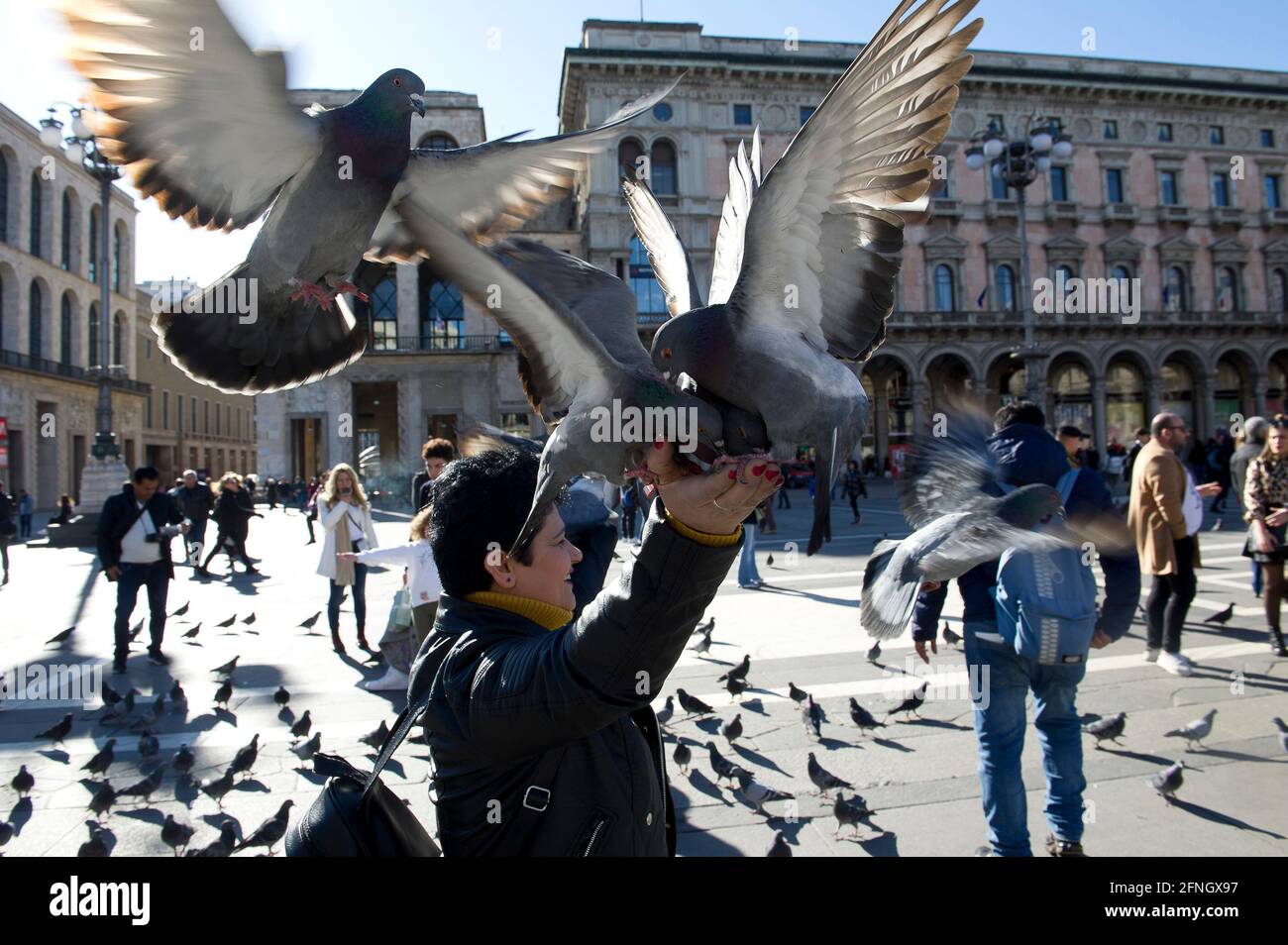 Europe, Italie, Lombardie, Milan, pigeons sur la Piazza Duomo mangez des mains des touristes Banque D'Images