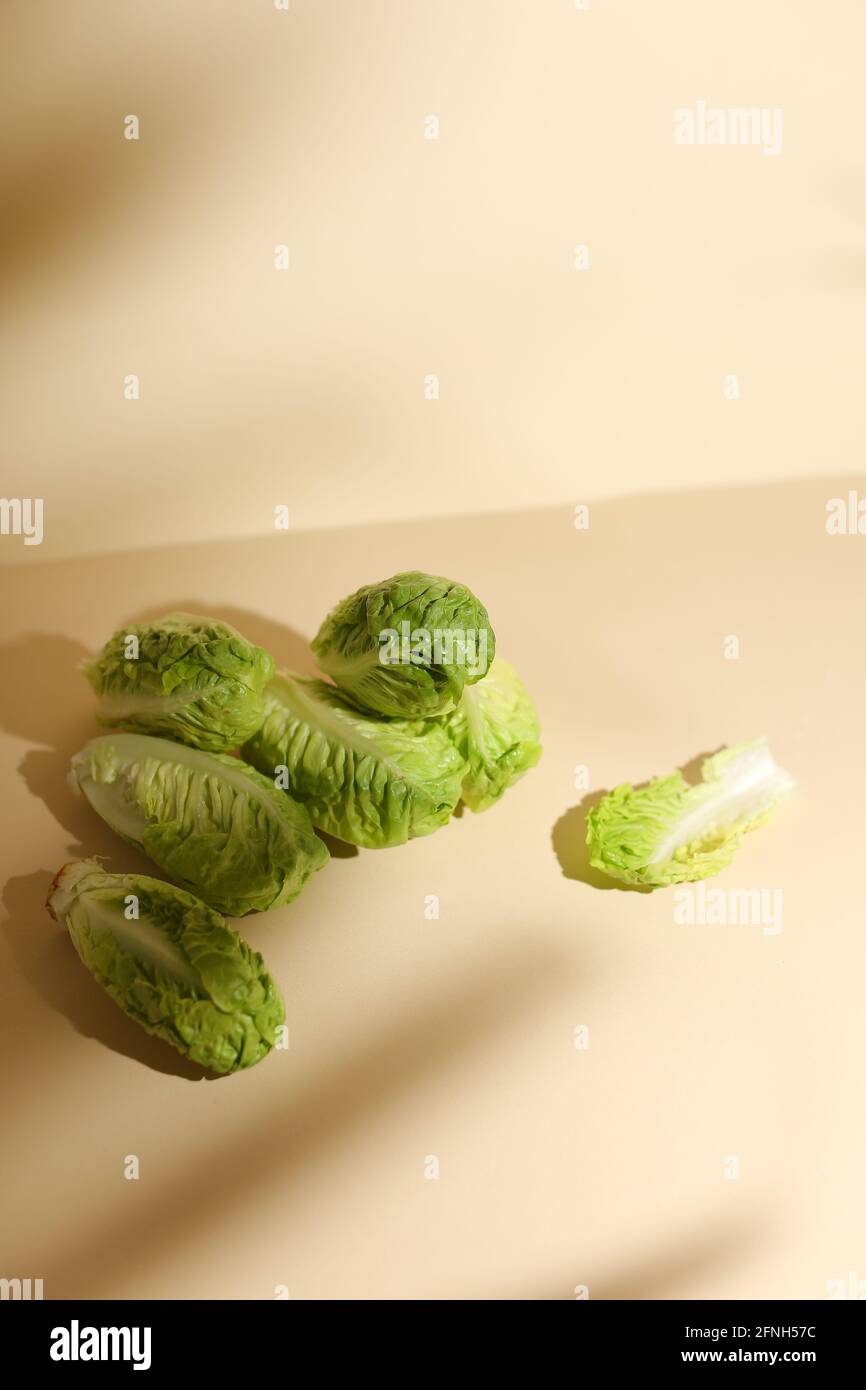 Bebe Chou Sur Fond Beige Photo Stock Alamy Bebe Chou Sur Fond Beige Photo Stock Alamy