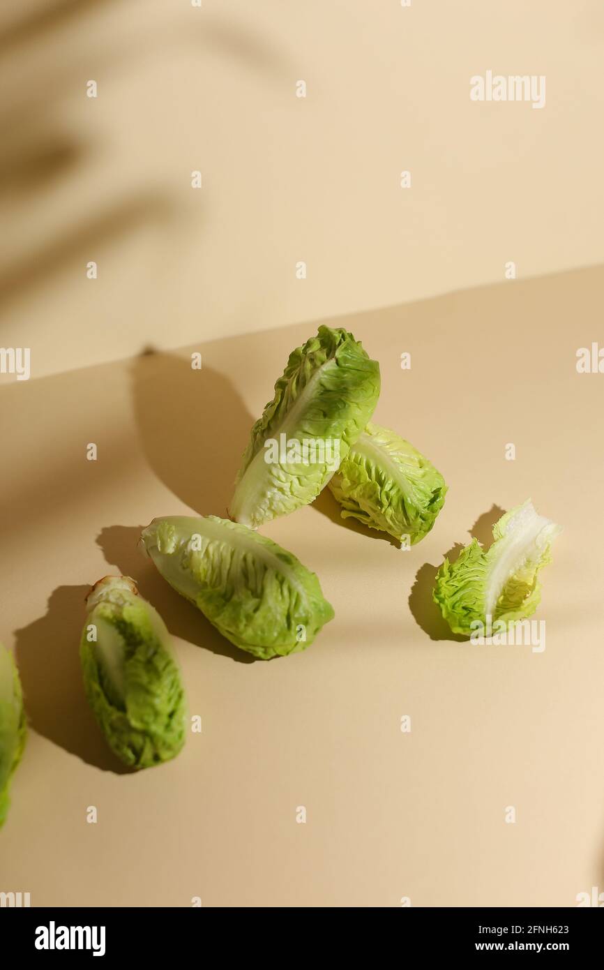Bebe Chou Sur Fond Beige Photo Stock Alamy Bebe Chou Sur Fond Beige Photo Stock Alamy