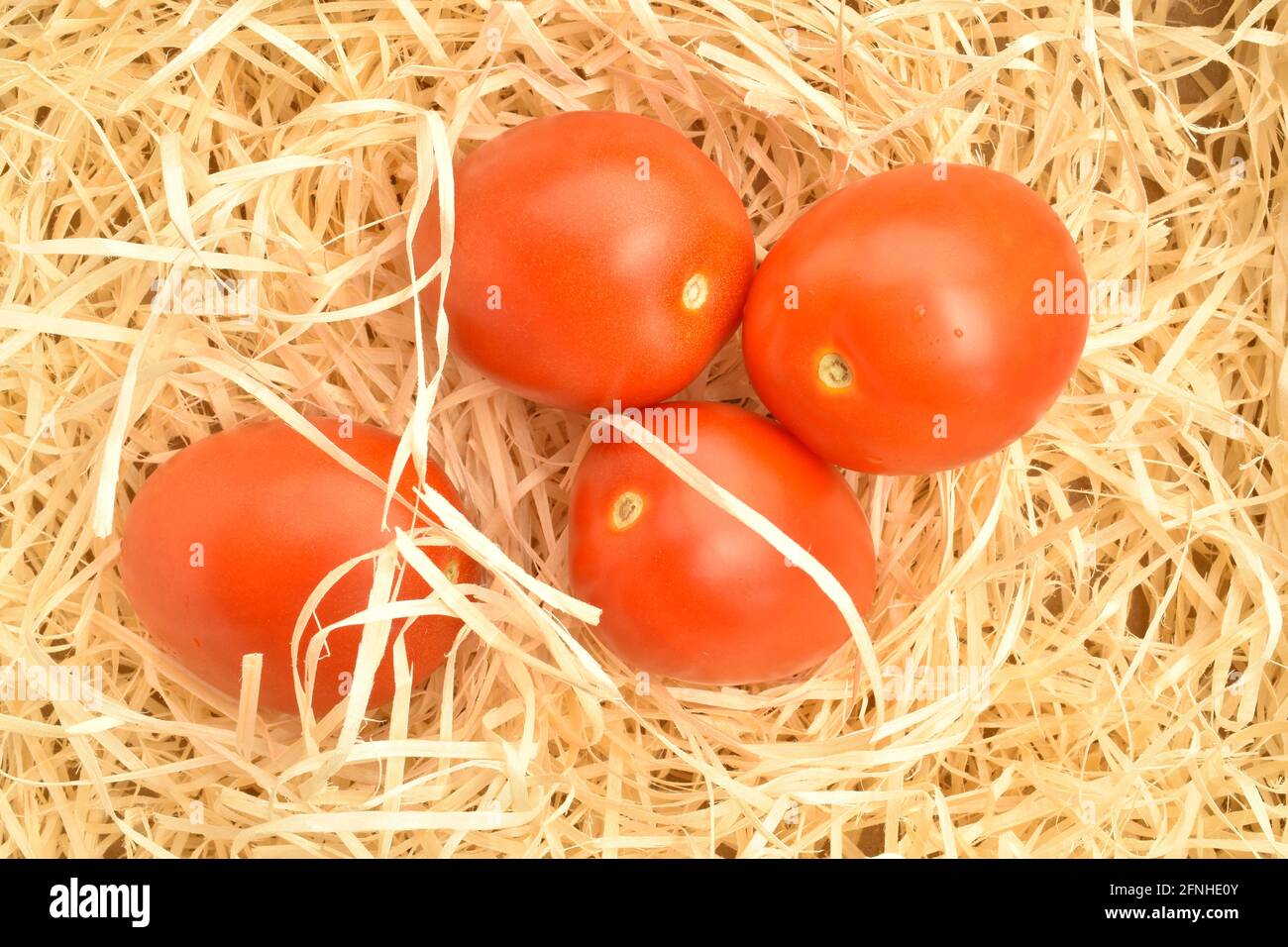 Quatre tomates juteuses rouge vif, gros plan, sur des copeaux de bois, vue de dessus. Banque D'Images