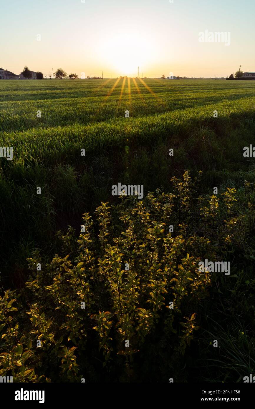 Vue panoramique sur le coucher du soleil dans la campagne de Ferrara Banque D'Images