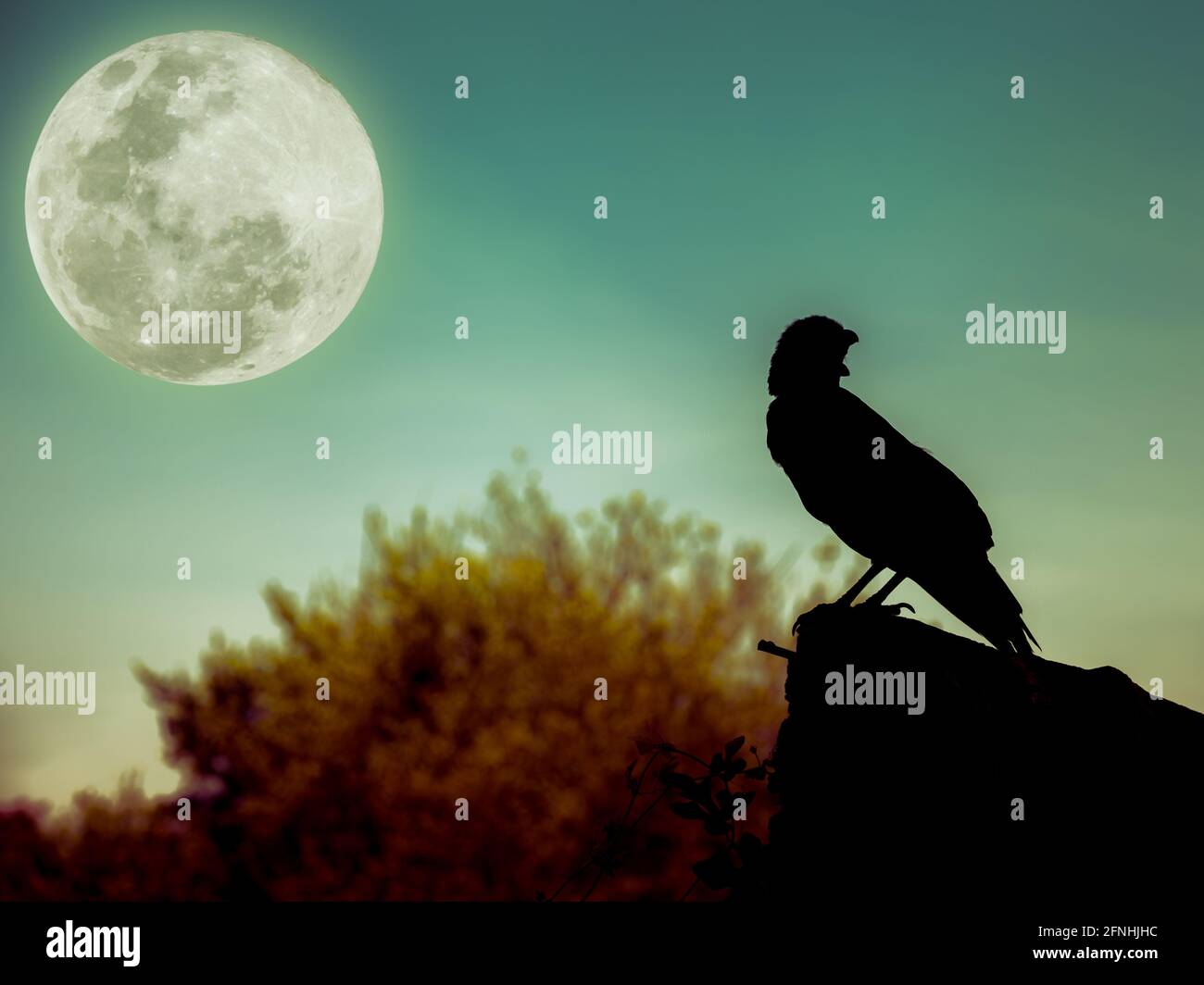 Magnifique ciel nocturne avec pleine lune, arbre et silhouette de corbeau sur pierre qui peut être utilisé pour halloween. Style d'image vintage. À l'extérieur. Banque D'Images