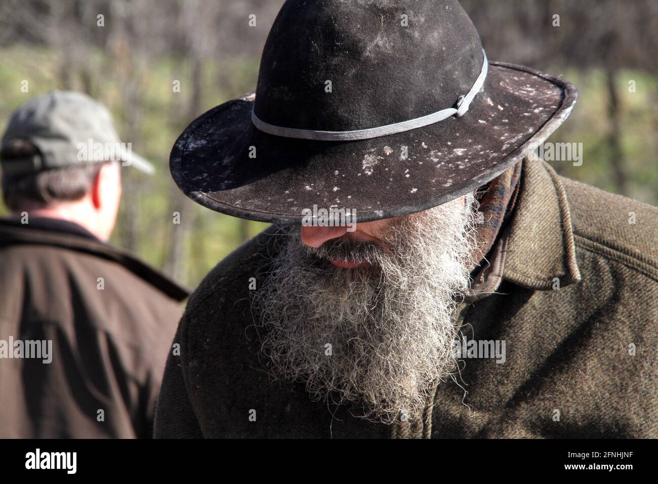 Homme âgé avec une longue barbe et un vieux chapeau feutre Photo Stock -  Alamy