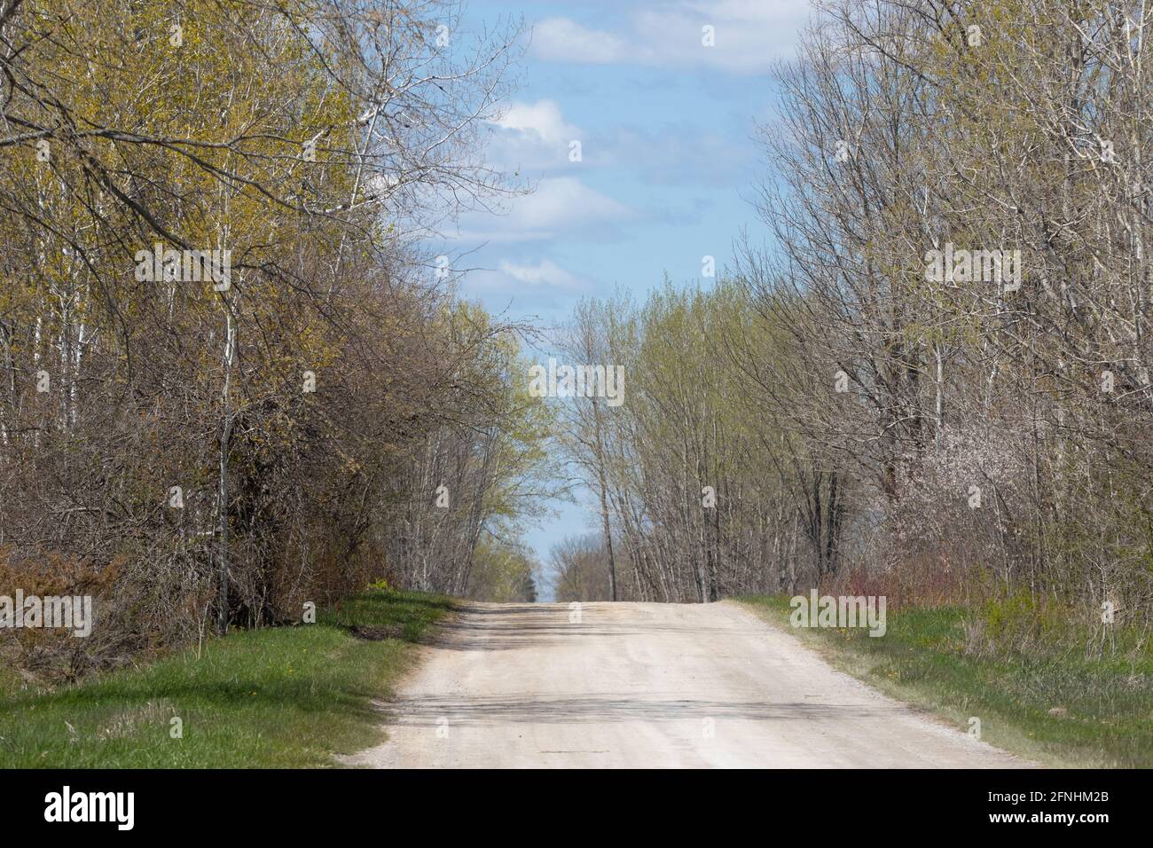 Route de terre à travers le hotspot Birding de Carden Alvars Ontario au printemps Banque D'Images