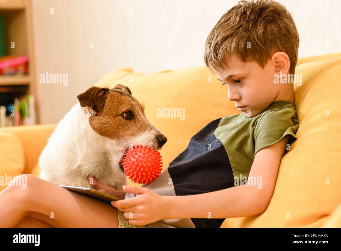 Le chien de compagnie de famille veut que l'attention du jeune propriétaire de jouer avec le ballon Banque D'Images