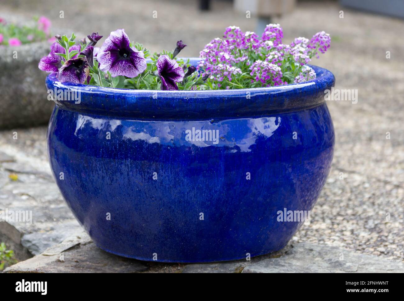 Pot en céramique bleue avec fleurs Banque D'Images