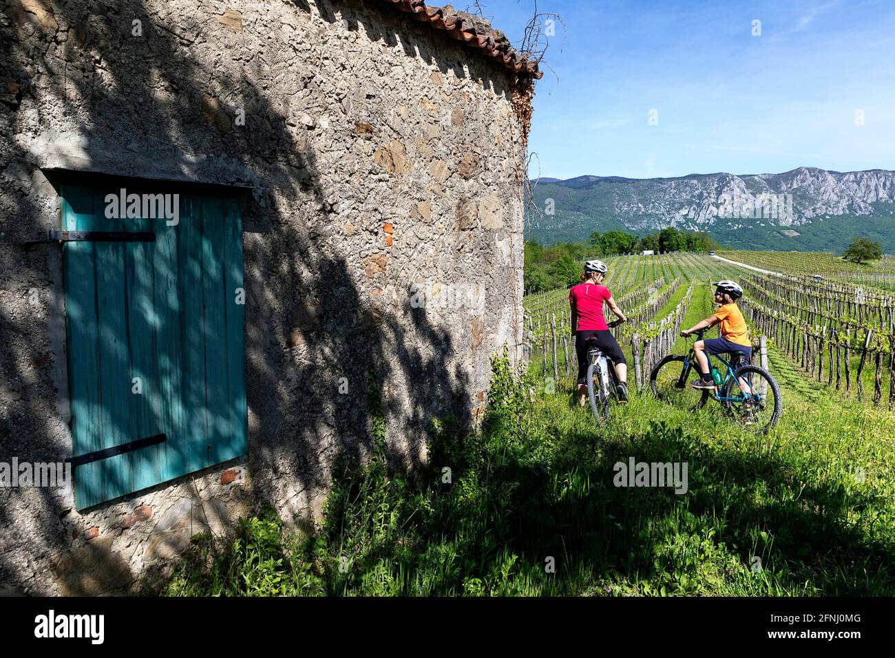 Mère et fils, touristes, cyclistes explorant la région viticole et de belles vignes au-dessus de la vallée de vipava sur une belle journée ensoleillée de printemps, Slovénie Banque D'Images