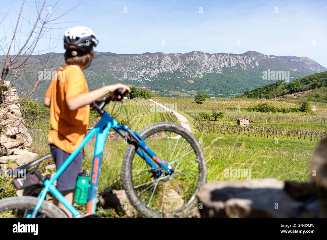 Touriste, garçon, cyclistes regardant les vignobles au-dessus de la vallée de vipava tout en étant sur un voyage à vélo dans la région de primorska en slovénie Banque D'Images