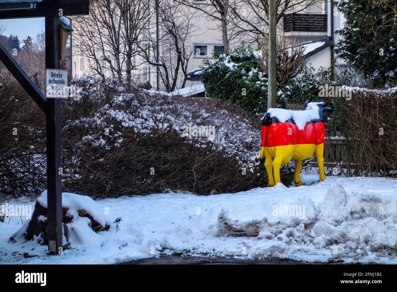 Un site de construction couvert de neige d'une propriété sur laquelle se dresse une sculpture de vache peinte avec les couleurs allemandes or noir rouge. Banque D'Images