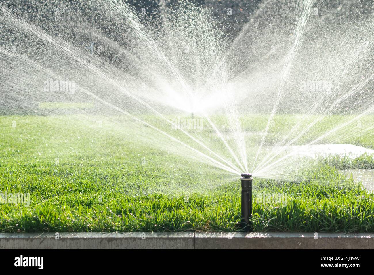 Système d'irrigation du jardin pelouse. Arrosage automatique de l'herbe verte. Mise au point sélective. Banque D'Images