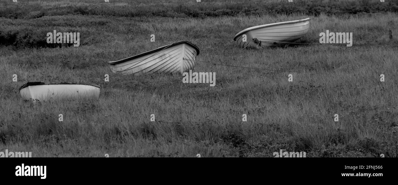Image mono de trois petits bateaux à ramer disposés en diagonale l'image et attaché sur la terre Banque D'Images