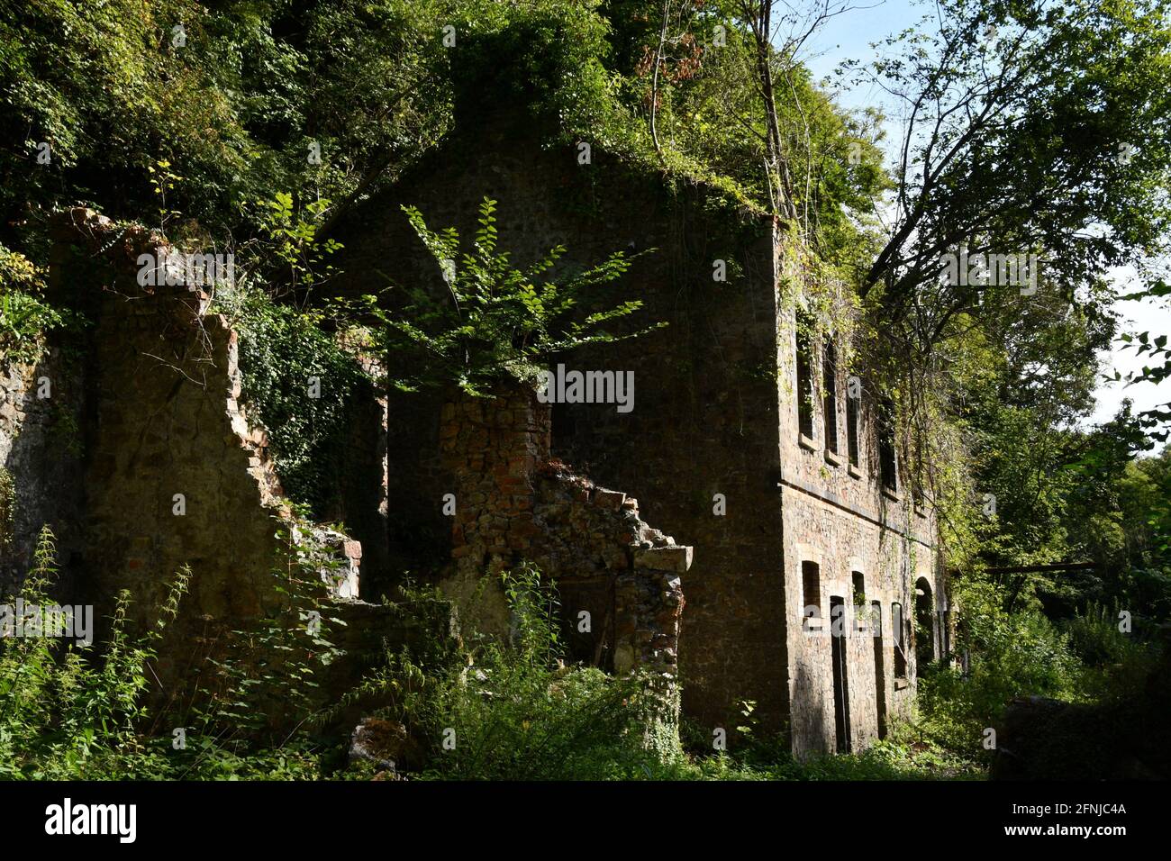 Ruines de l'immeuble de bureaux de Old Iron Works, mells , Fussells' Lower Works.Ceci est un site biologique d'intérêt scientifique spécial, dans le Wadbury va Banque D'Images