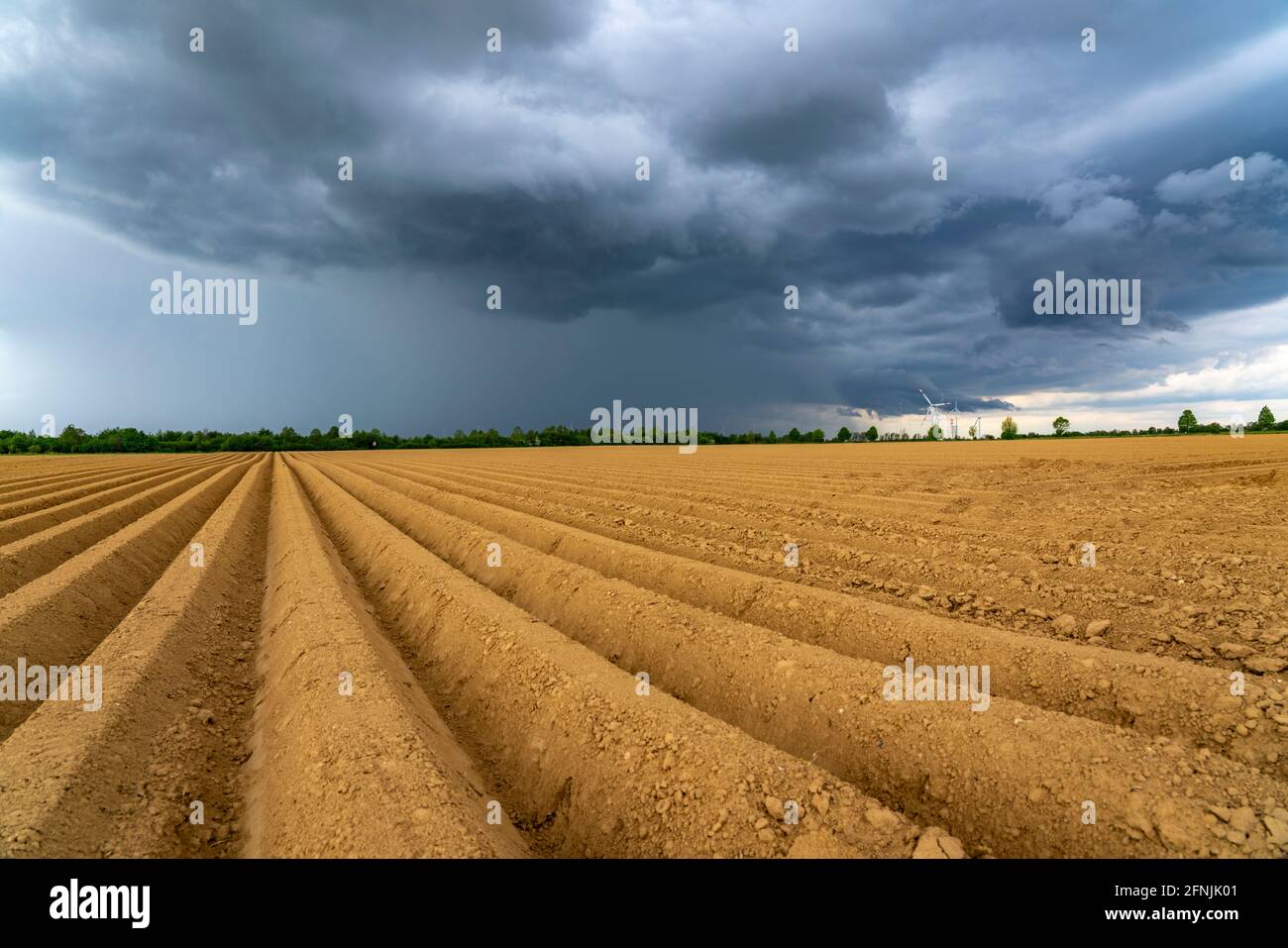 Nuages de pluie sombres, orages de nuages sur un champ de pommes de terre, près de Grevenbroich, NRW, Allemagne Banque D'Images