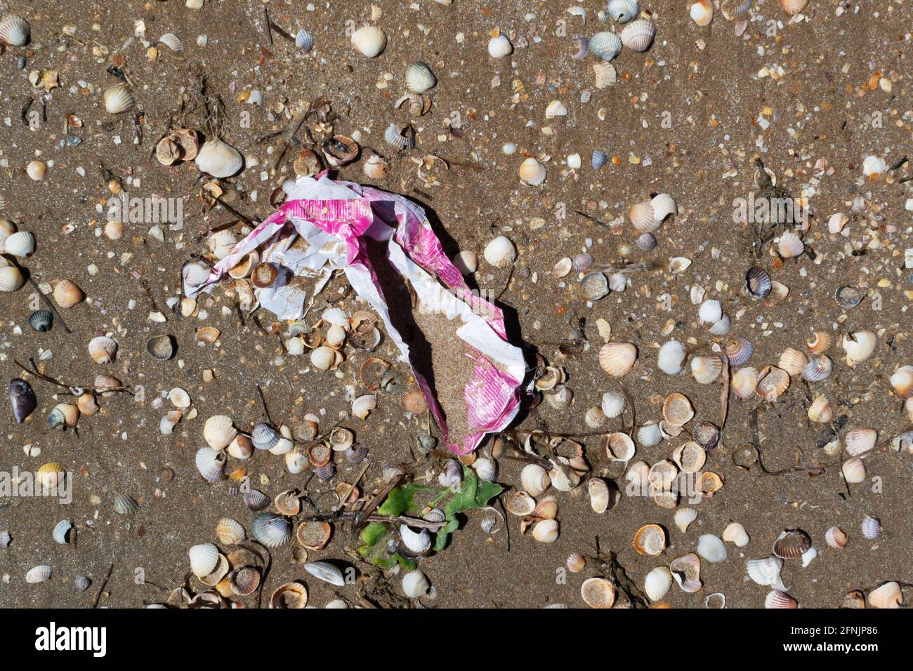 Vieux emballage en plastique se trouve sur la plage sur le sable. Concept de pollution de l'environnement. Mer sale. Problème écologique. Copier l'espace. Banque D'Images