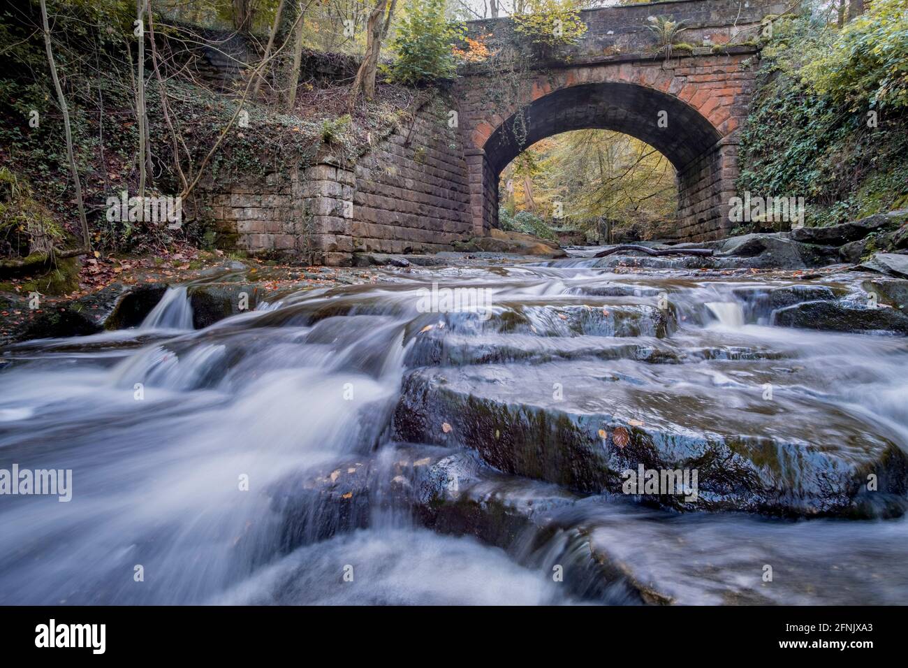 Pont au-dessus de May Beck, forêt de Sneaton, près de Whitby Banque D'Images