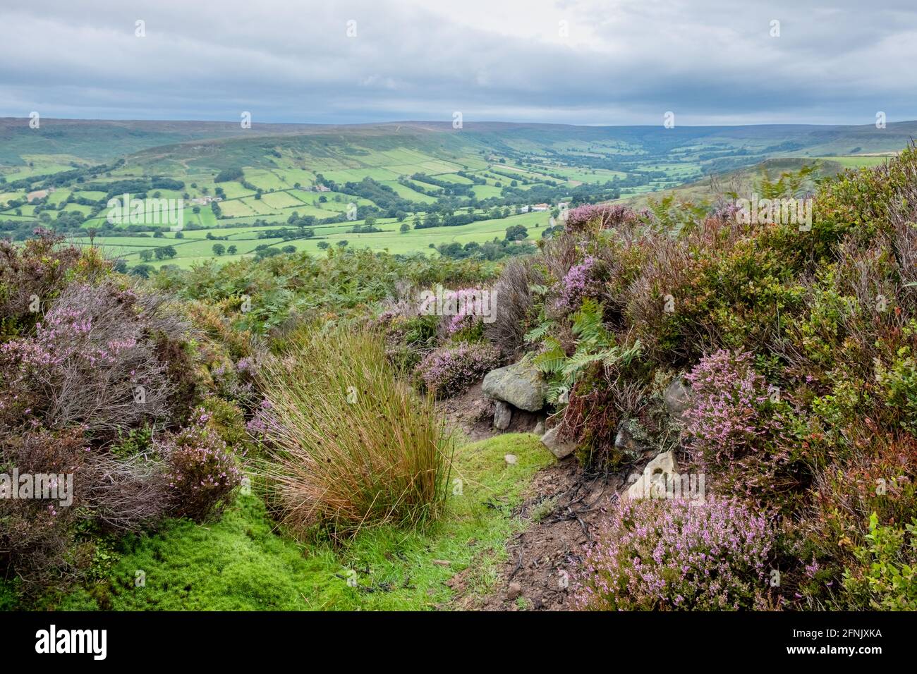 North York Moors surgirent Farndale Banque D'Images