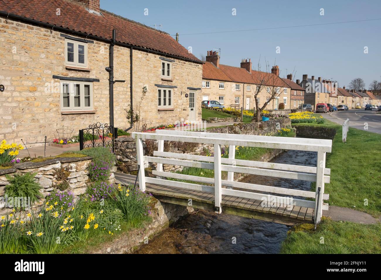 Jonquilles printanières dans le village de Helmsley, dans le Yorkshire Banque D'Images