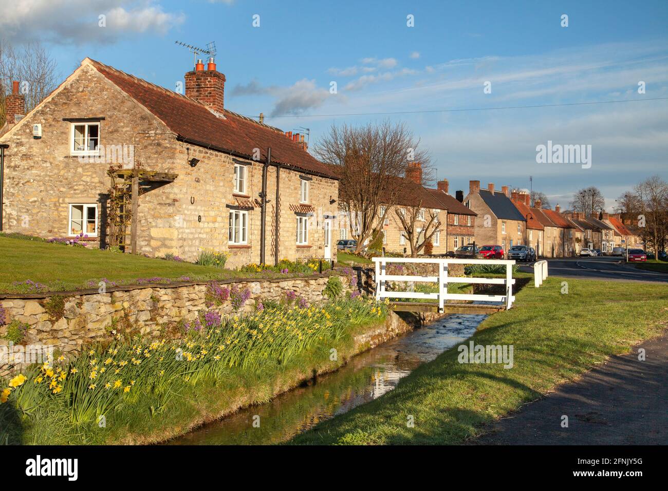Jonquilles printanières dans le village de Helmsley, dans le nord du Yorkshire Banque D'Images