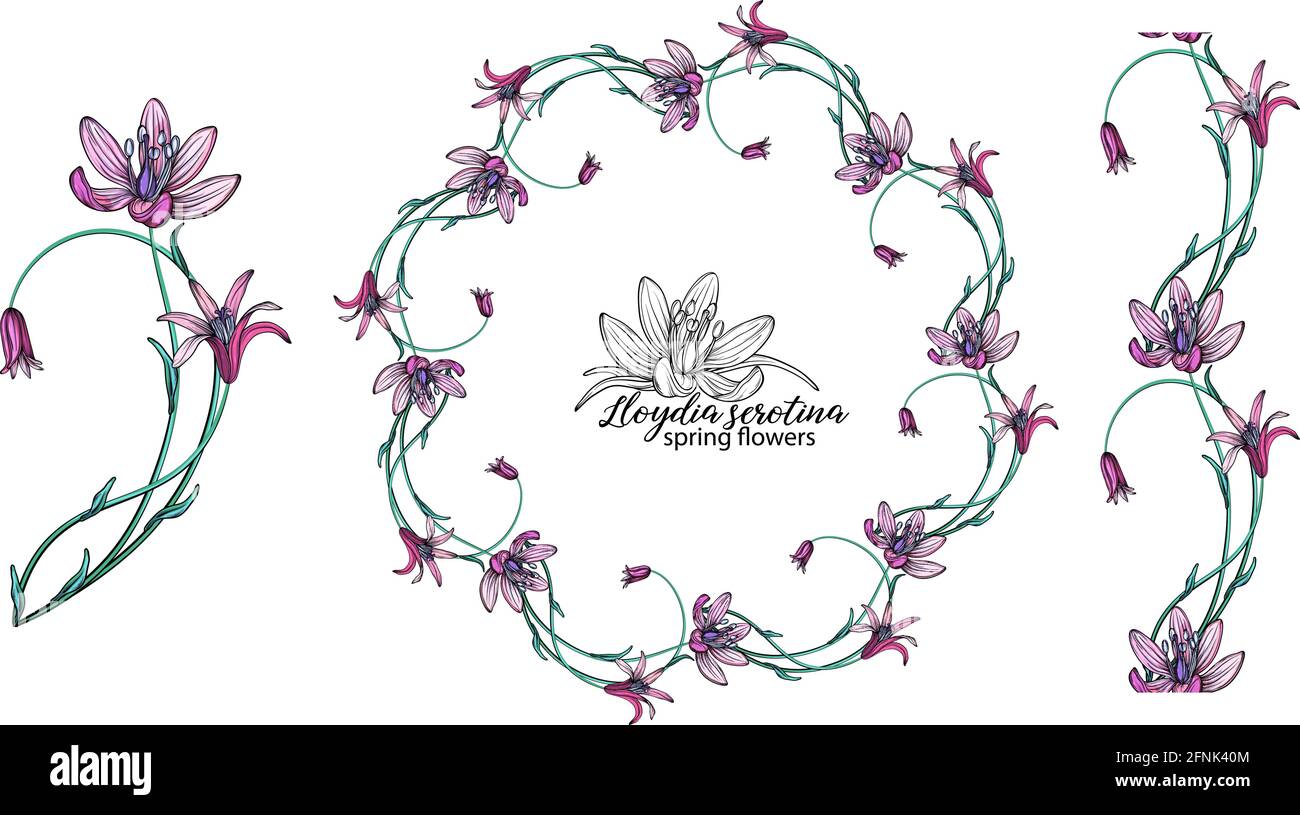 ensemble de fleurs roses. Couronne. Bouquet. Fleurs de printemps Illustration de Vecteur