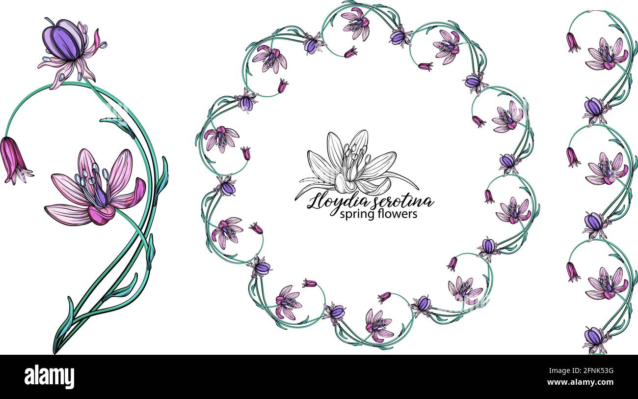 ensemble de fleurs roses. Couronne. Bouquet. Fleurs de printemps Illustration de Vecteur