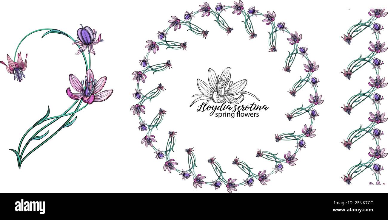 ensemble de fleurs roses. Couronne. Bouquet. Fleurs de printemps Illustration de Vecteur