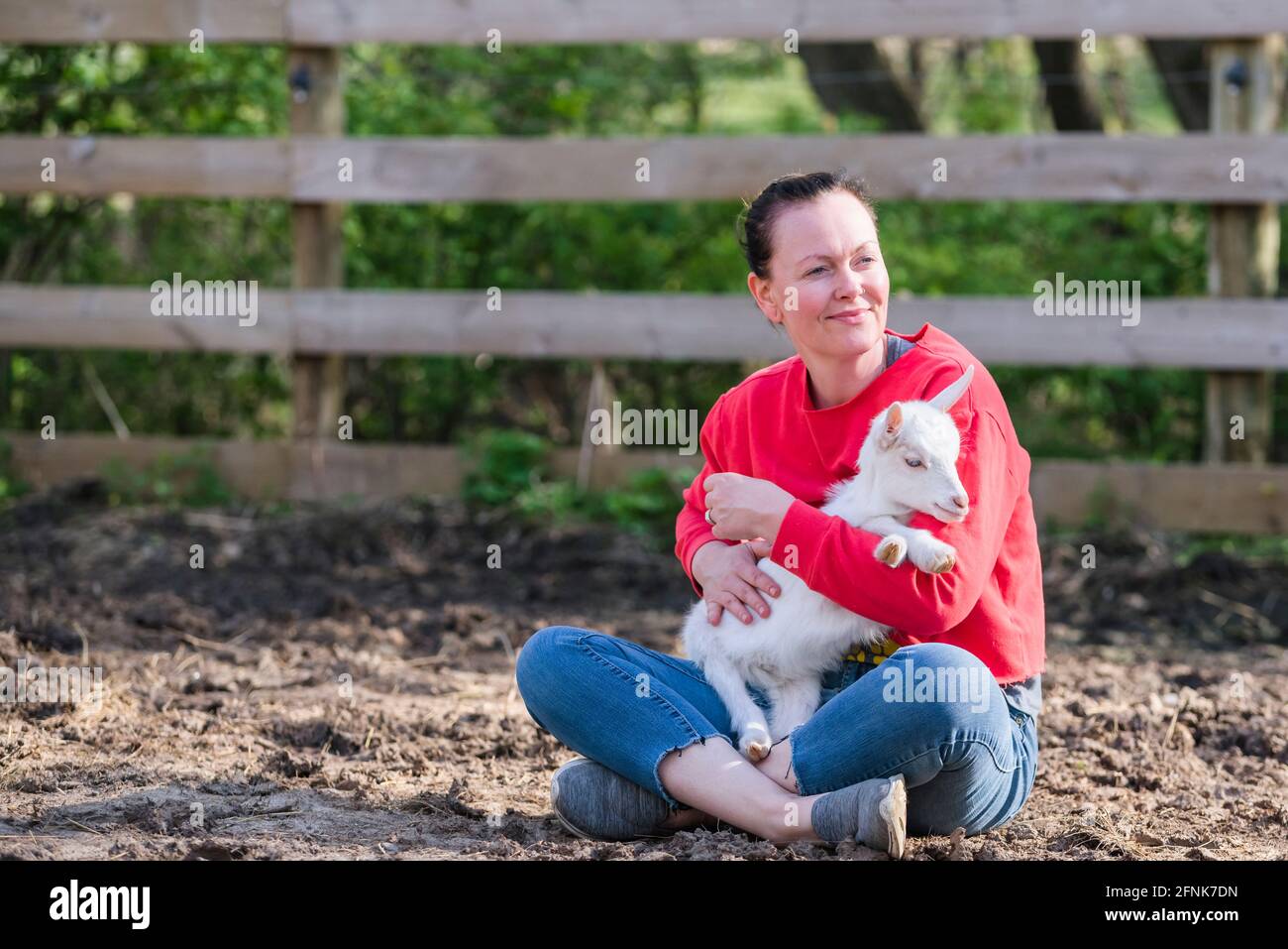 Femme en sweat-shirt rouge tenant un bébé chèvre blanc sur ses genoux. Banque D'Images