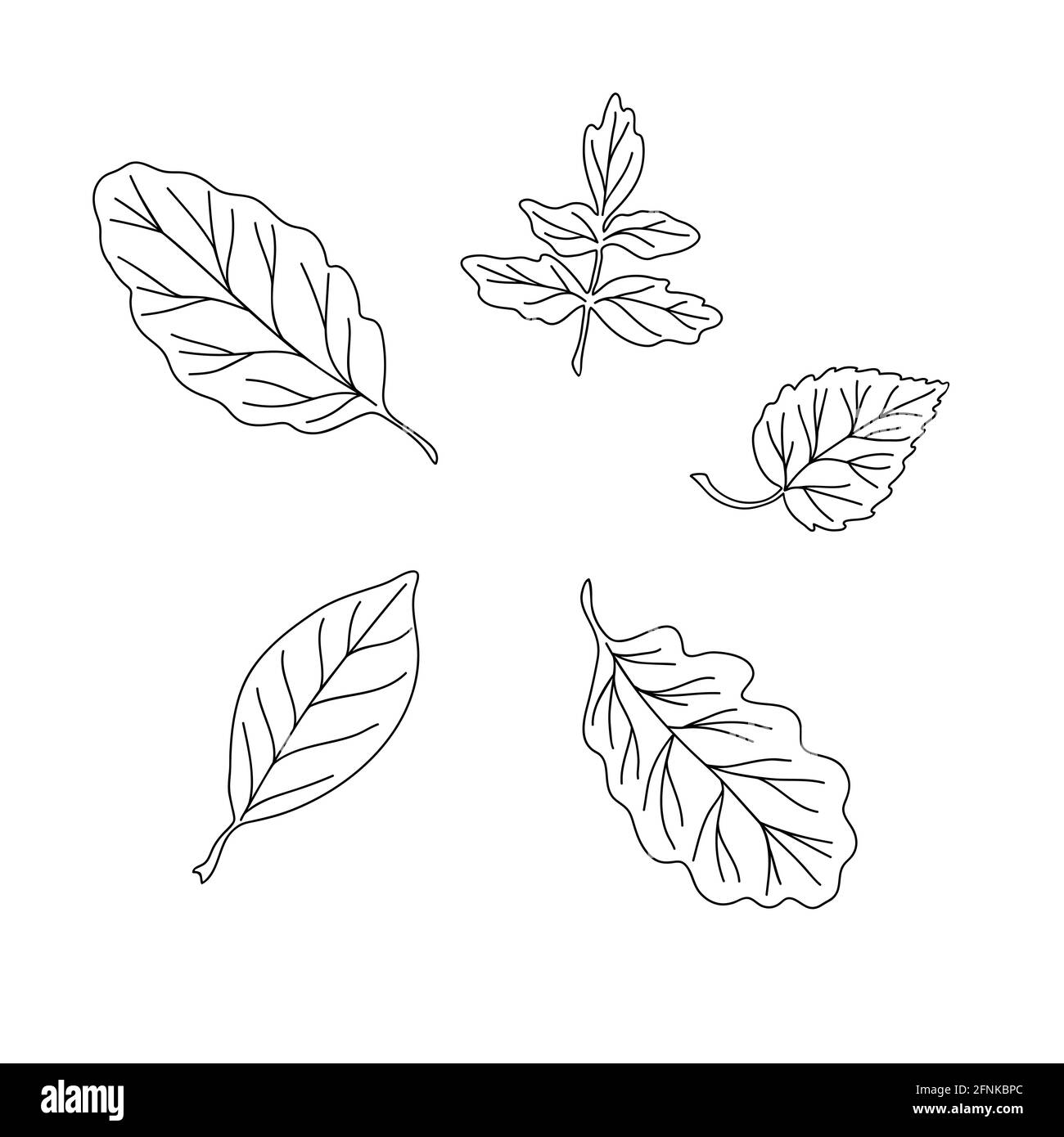 Feuilles d'automne simple vecteur concept minimaliste illustration de style plat, noir et blanc main dessinés éléments floraux naturels ensemble, élément pour les invitations, cartes de voeux, livret, décoration de vacances d'automne Illustration de Vecteur