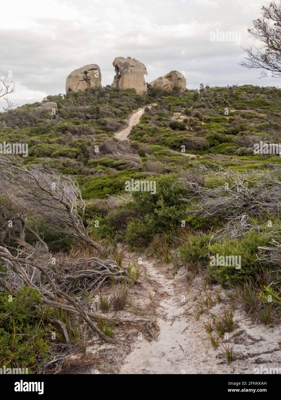 Deuxième dernière ascension vers le phare - Wilsons Promontory, Victoria, Australie Banque D'Images