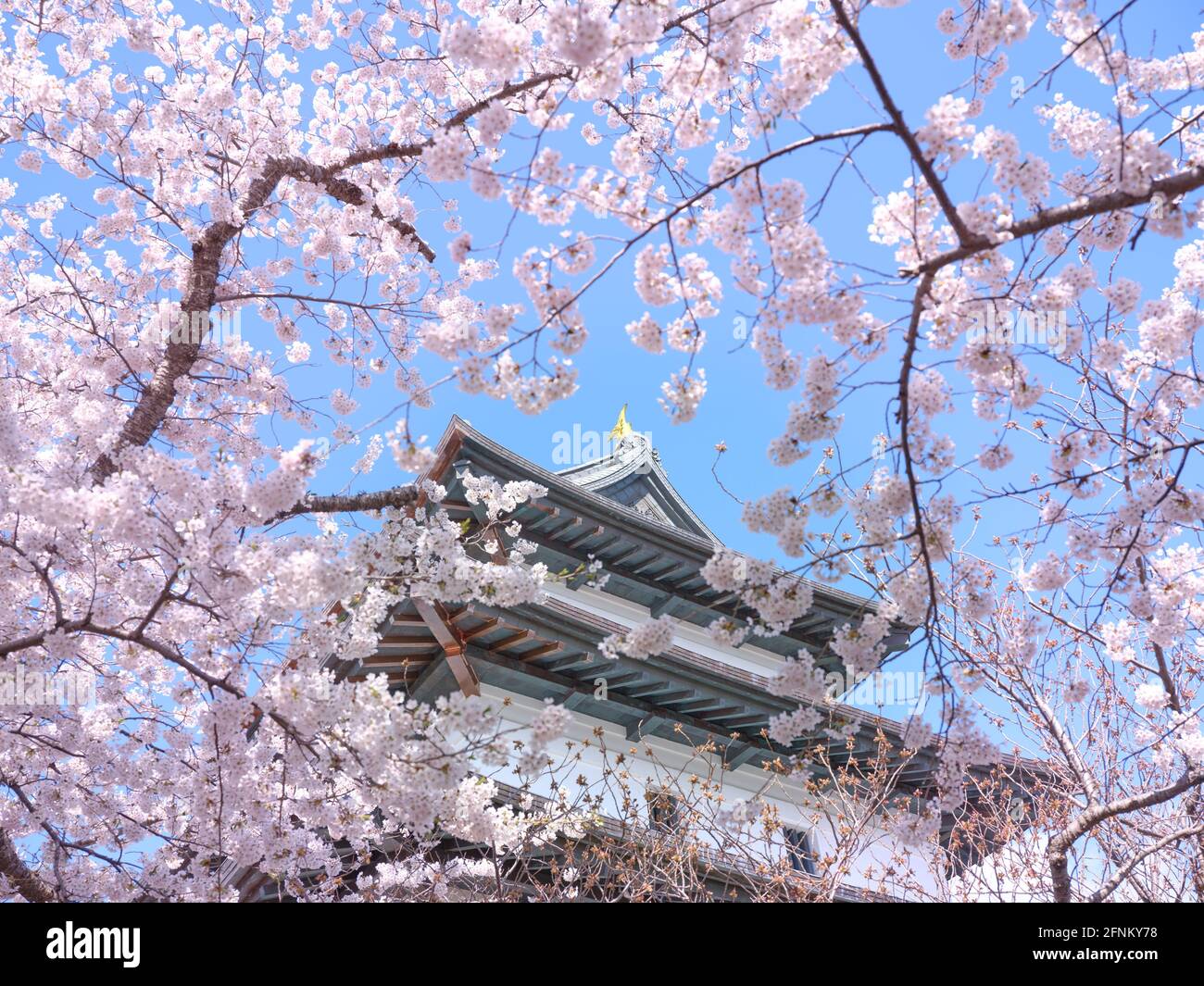 Matsumae castle matsumae hokkaido japan Banque de photographies et d