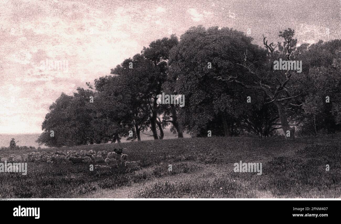 Géographie / voyage historique, Allemagne, Iles, Ile de Ruegen, paysage, 'Edge of the Forest on Ruegen', DROITS-SUPPLÉMENTAIRES-AUTORISATION-INFO-NON-DISPONIBLE Banque D'Images