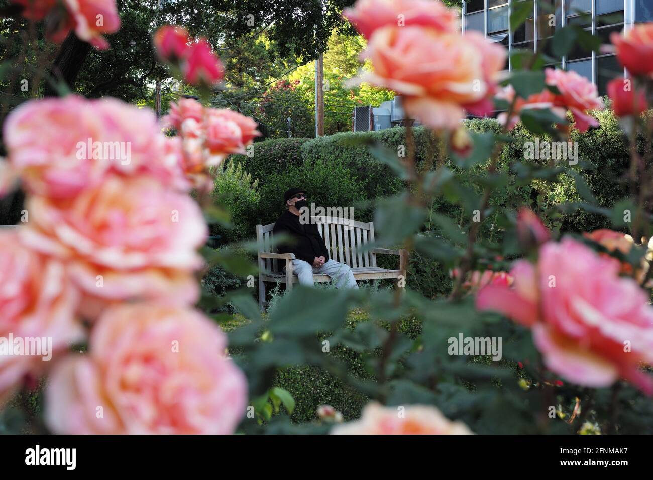 (210518) -- SAN MATEO, 18 mai 2021 (Xinhua) -- UN homme portant un masque est vu dans un parc de San Mateo, Californie, États-Unis, 17 mai 2021. Les responsables de la santé publique de Californie ont déclaré lundi que l'État le plus peuplé des États-Unis ne « mettrait pas en œuvre les directives CDC qui permettent aux personnes entièrement vaccinées de se passer d'un masque dans la plupart des situations » avant juin 15. La semaine dernière, les Centers for Disease Control and Prevention (CDC) des États-Unis ont déclaré qu'il est sécuritaire pour les personnes entièrement vaccinées de sauter les couvertures de visage et les distances sociales dans la plupart des situations, et de nombreux États ont levé leurs exigences de masque Banque D'Images