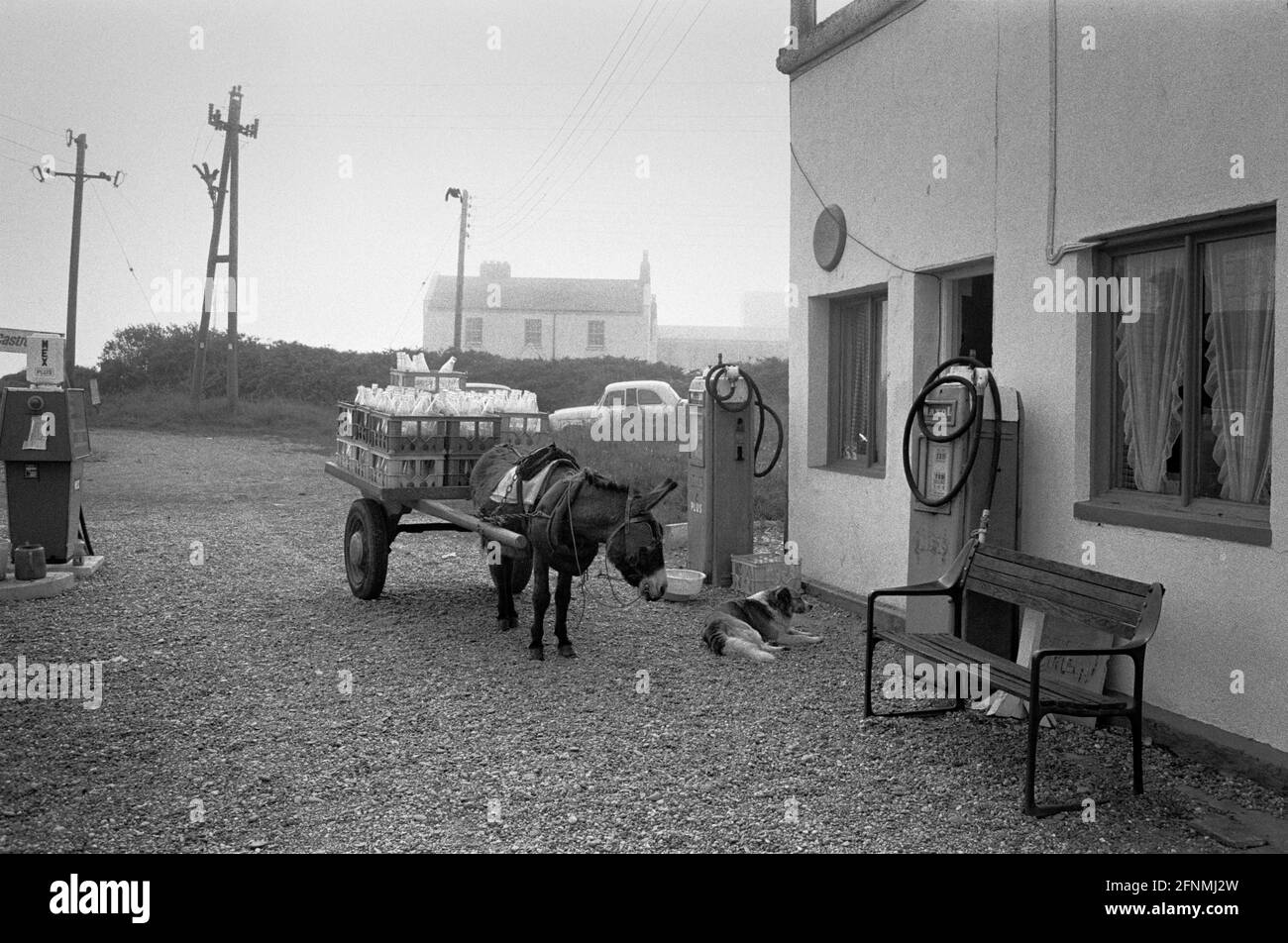Chariot d'âne livrant du lait dans une station-service de Rosslare, comté de Wexford, Irlande, 1973 Banque D'Images