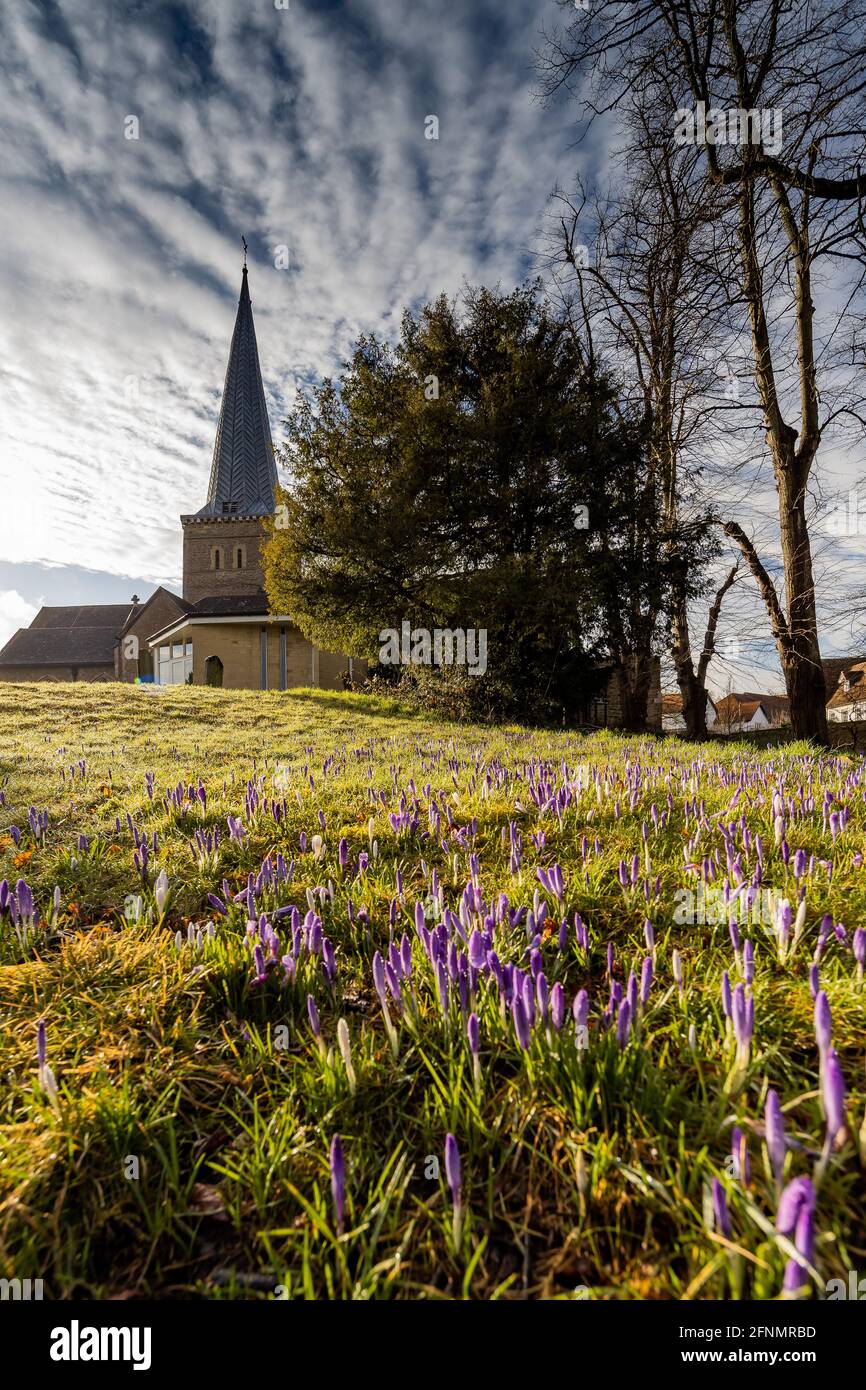 Godalming photo de la région Banque D'Images